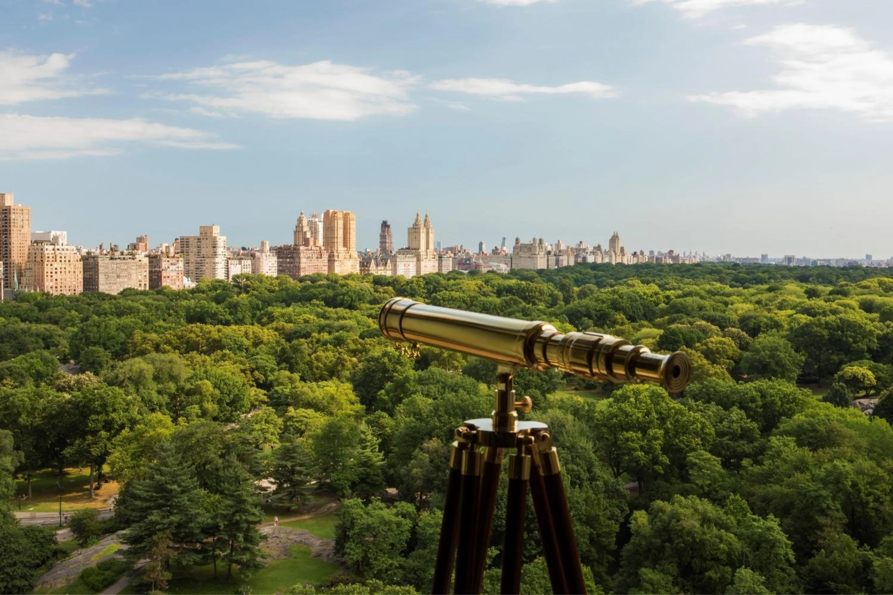 View (from property/room) in The Ritz-Carlton New York, Central Park