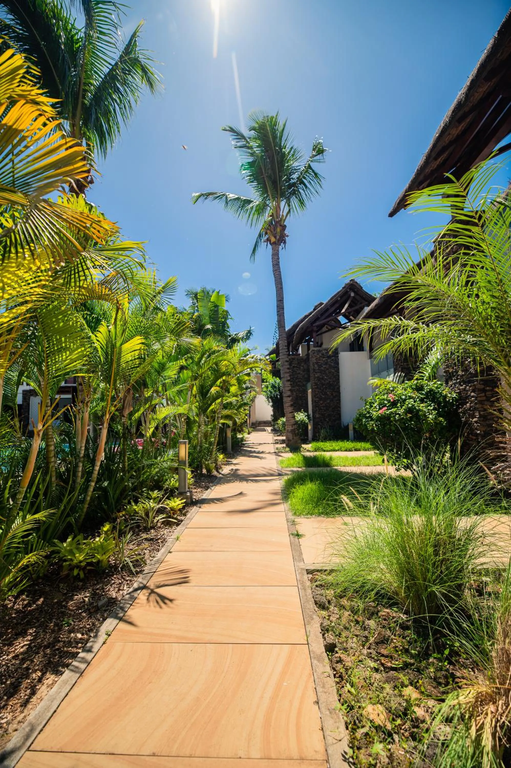 Garden in Toparadis Guest House