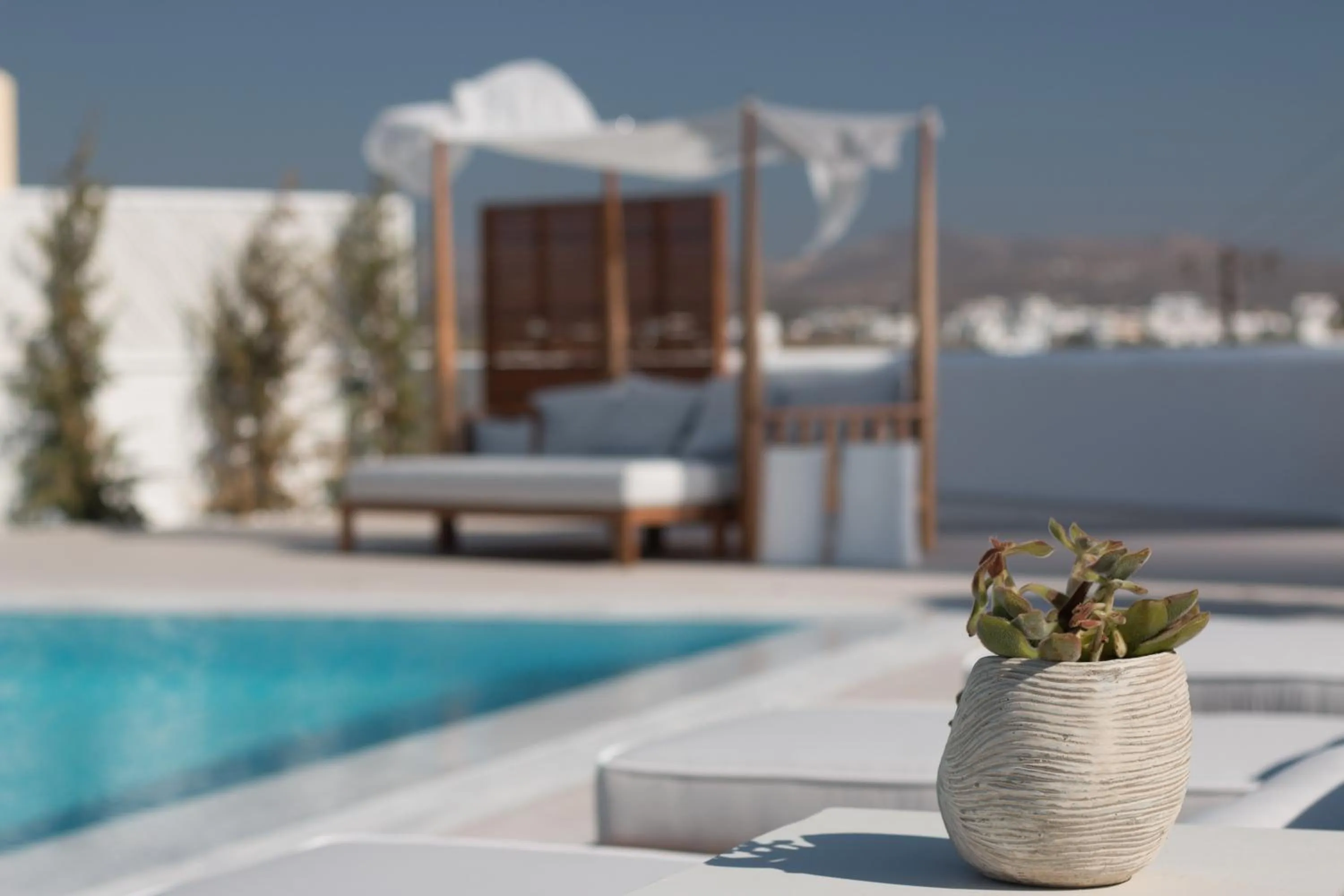 Swimming pool in 18 Grapes Hotel