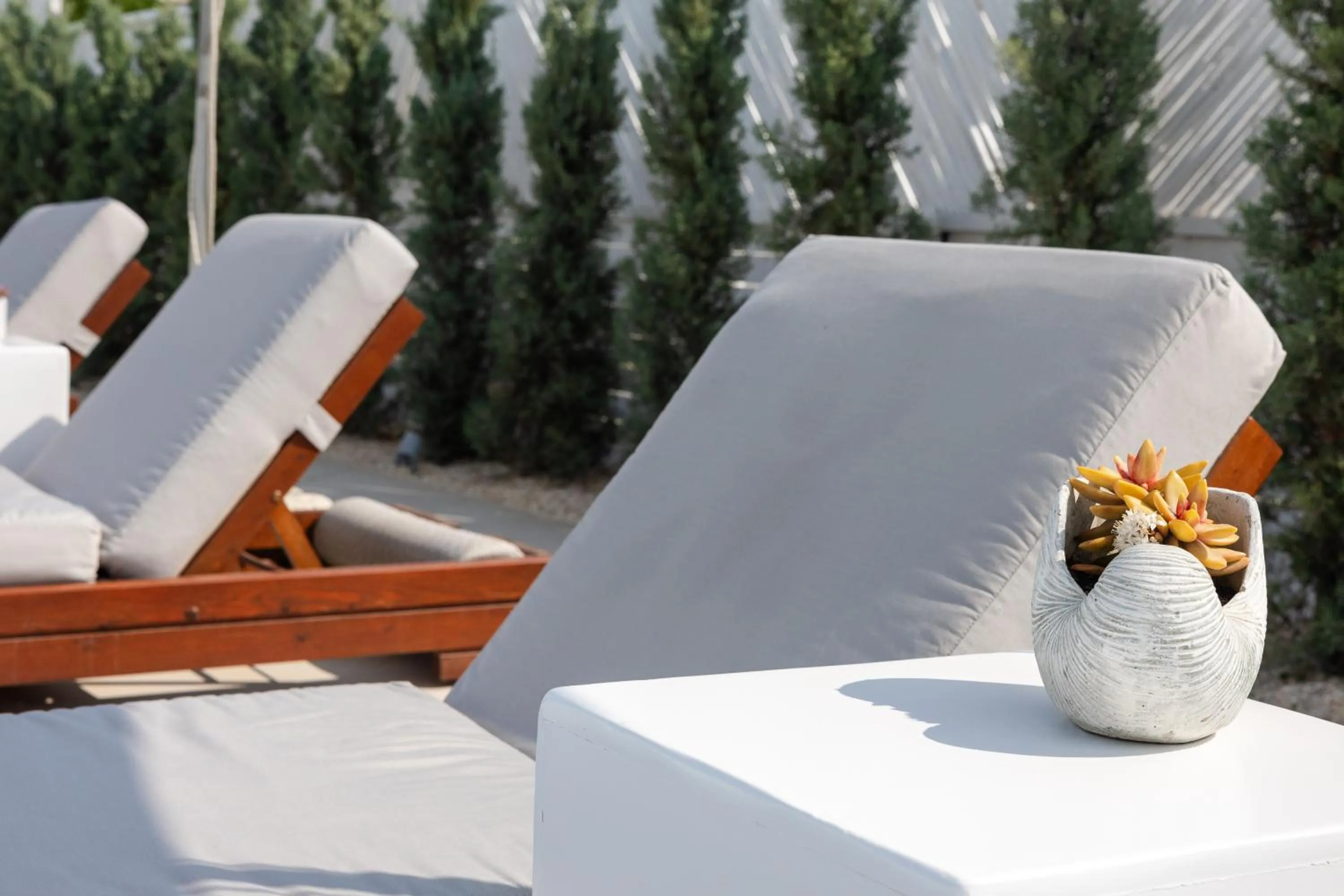 Swimming pool in 18 Grapes Hotel