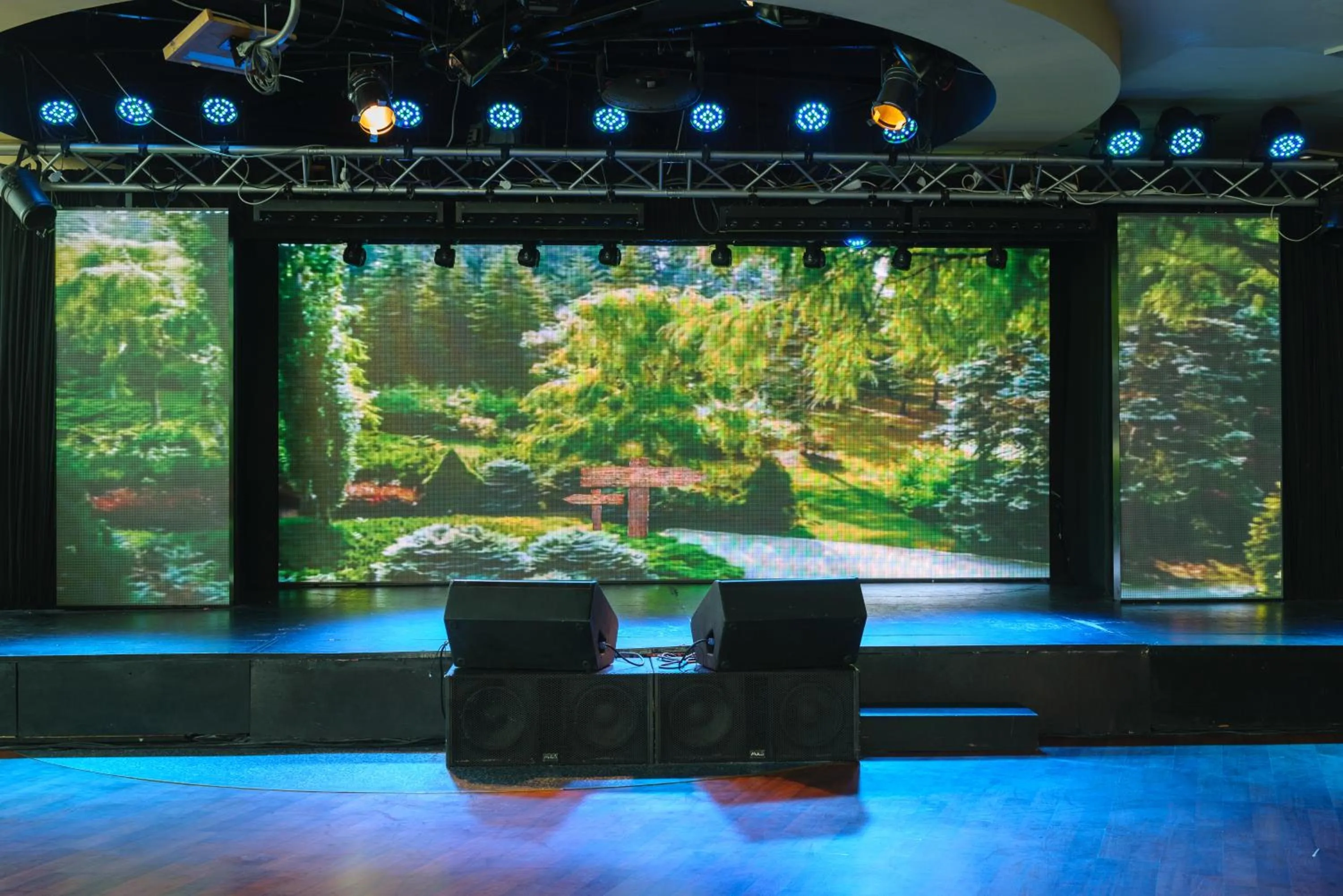 Evening entertainment in Leonardo Plaza Hotel Dead Sea