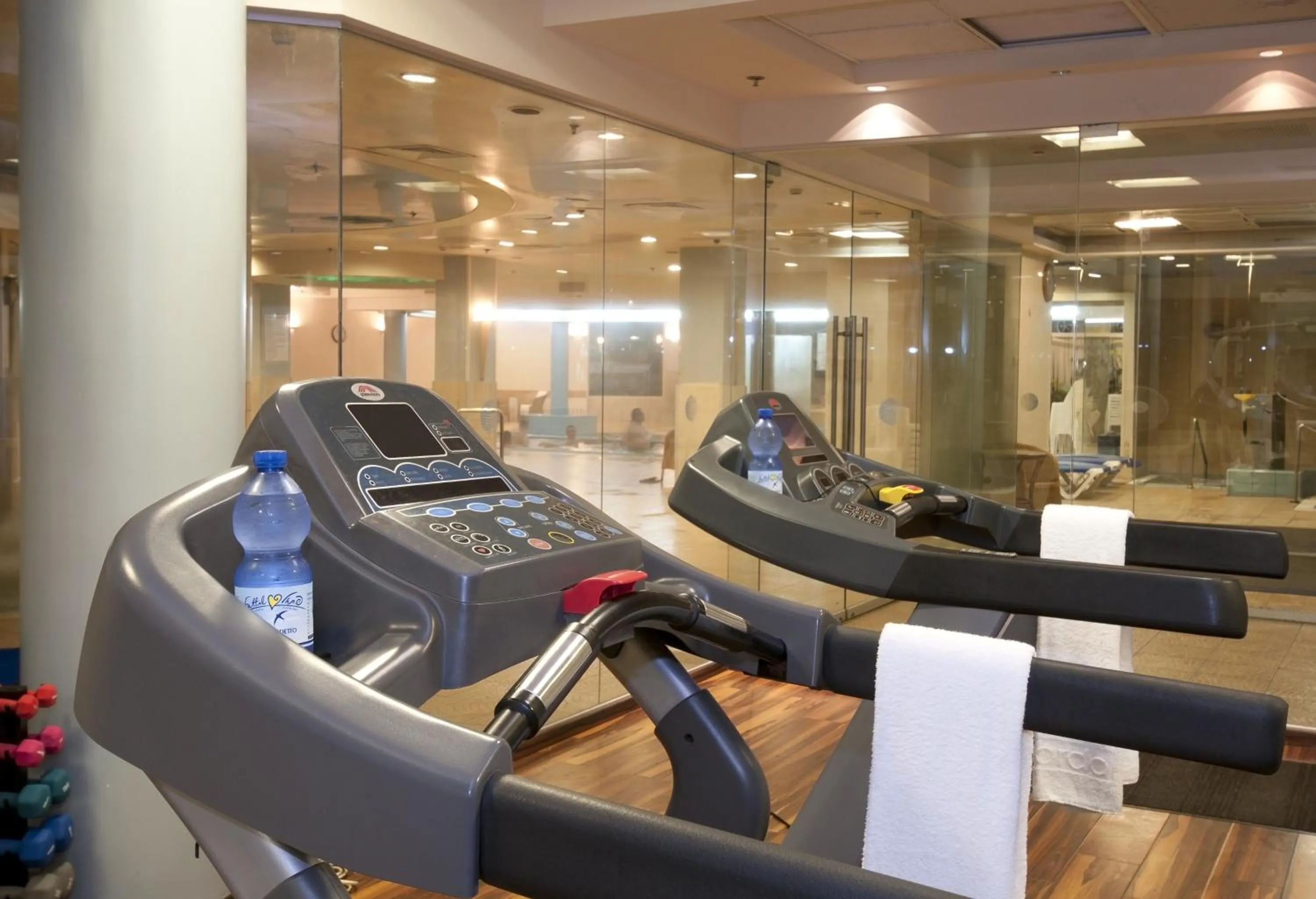 Fitness centre/facilities in Leonardo Plaza Hotel Dead Sea