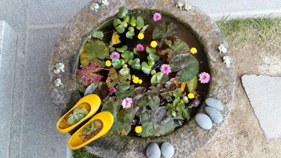 The Mumum Guesthouse