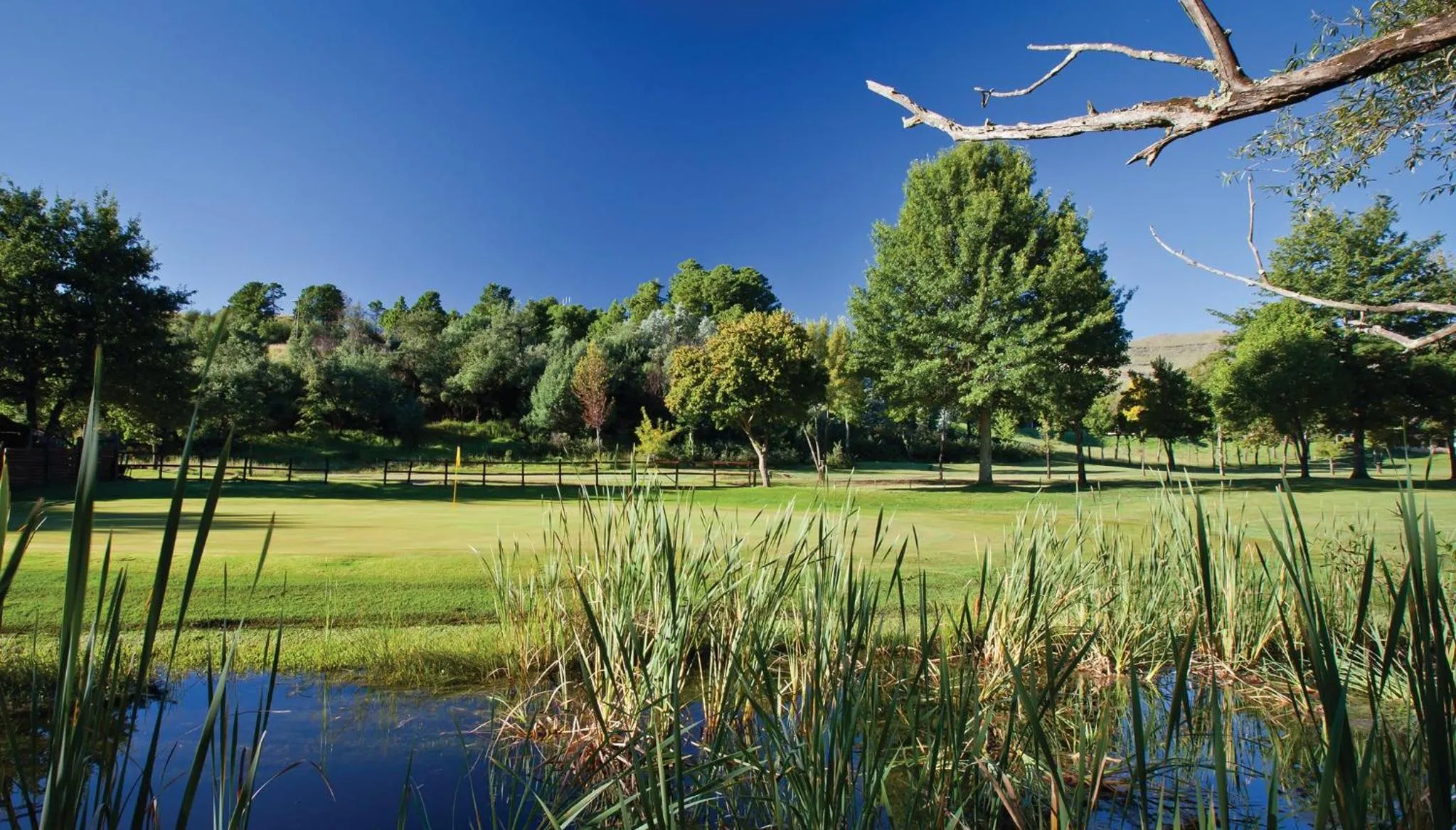 Golfcourse in Gooderson Drakensberg Gardens Golf & Spa Resort