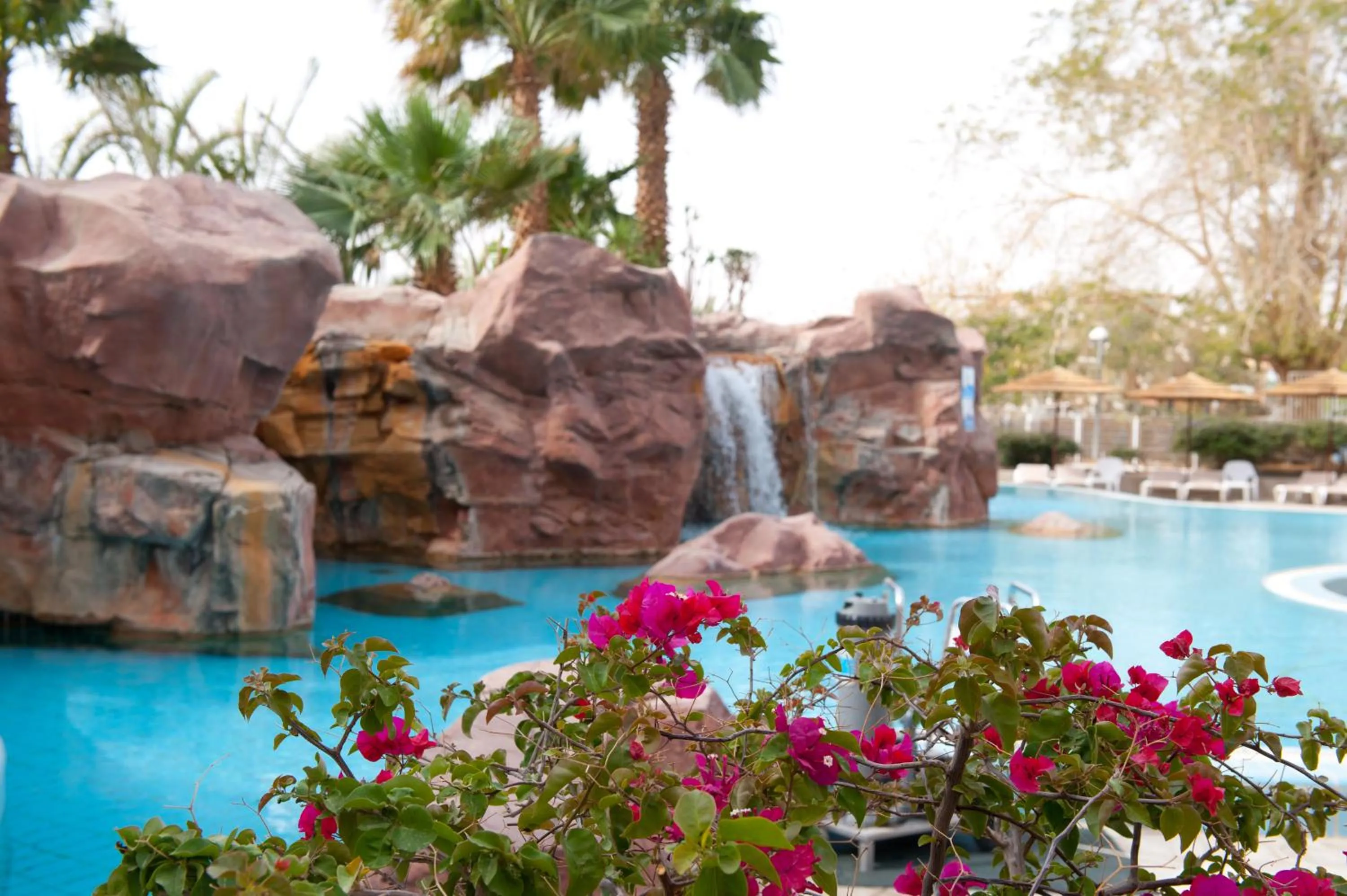 Swimming pool in Leonardo Plaza Hotel Eilat