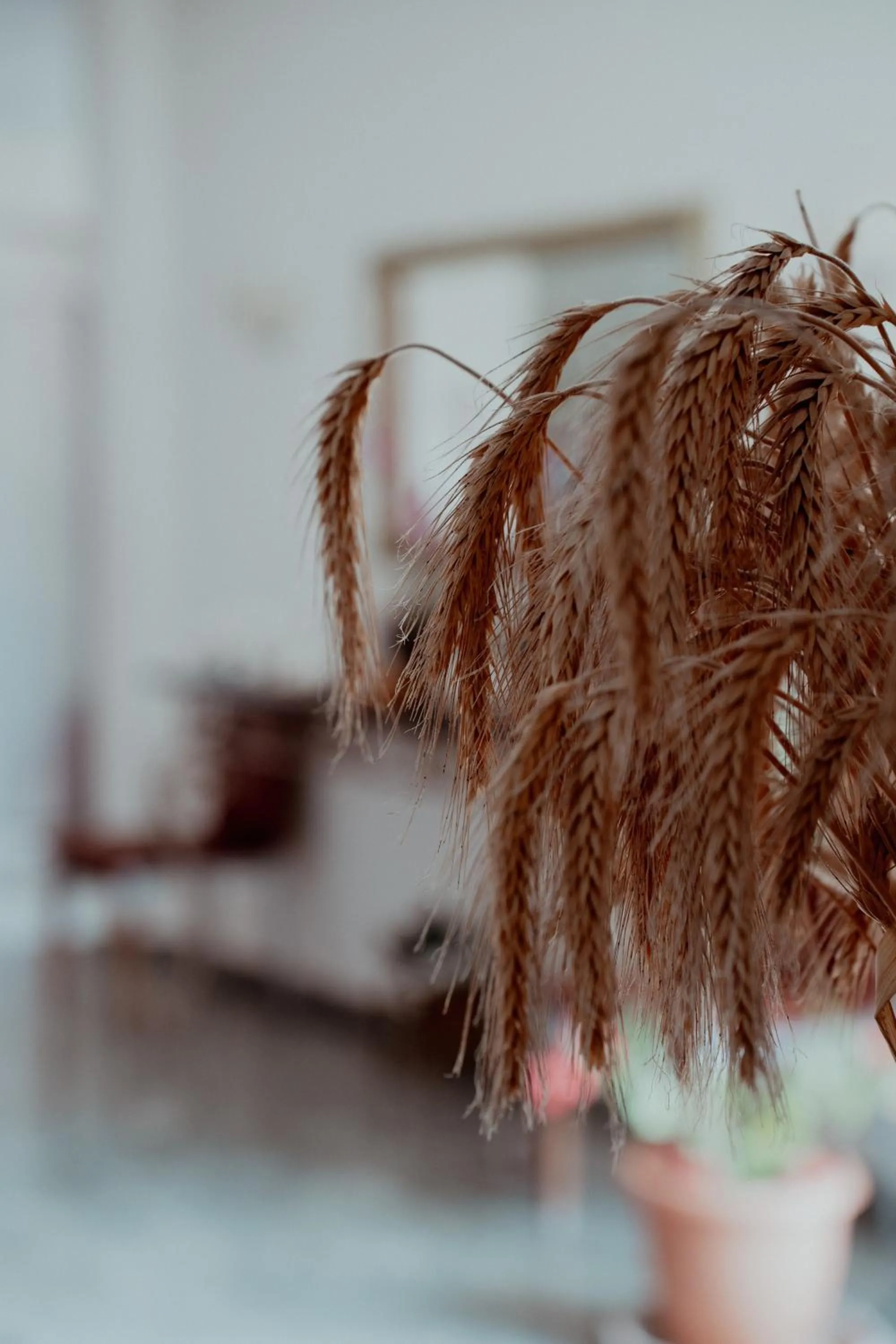 Summer in Coralli Hotel