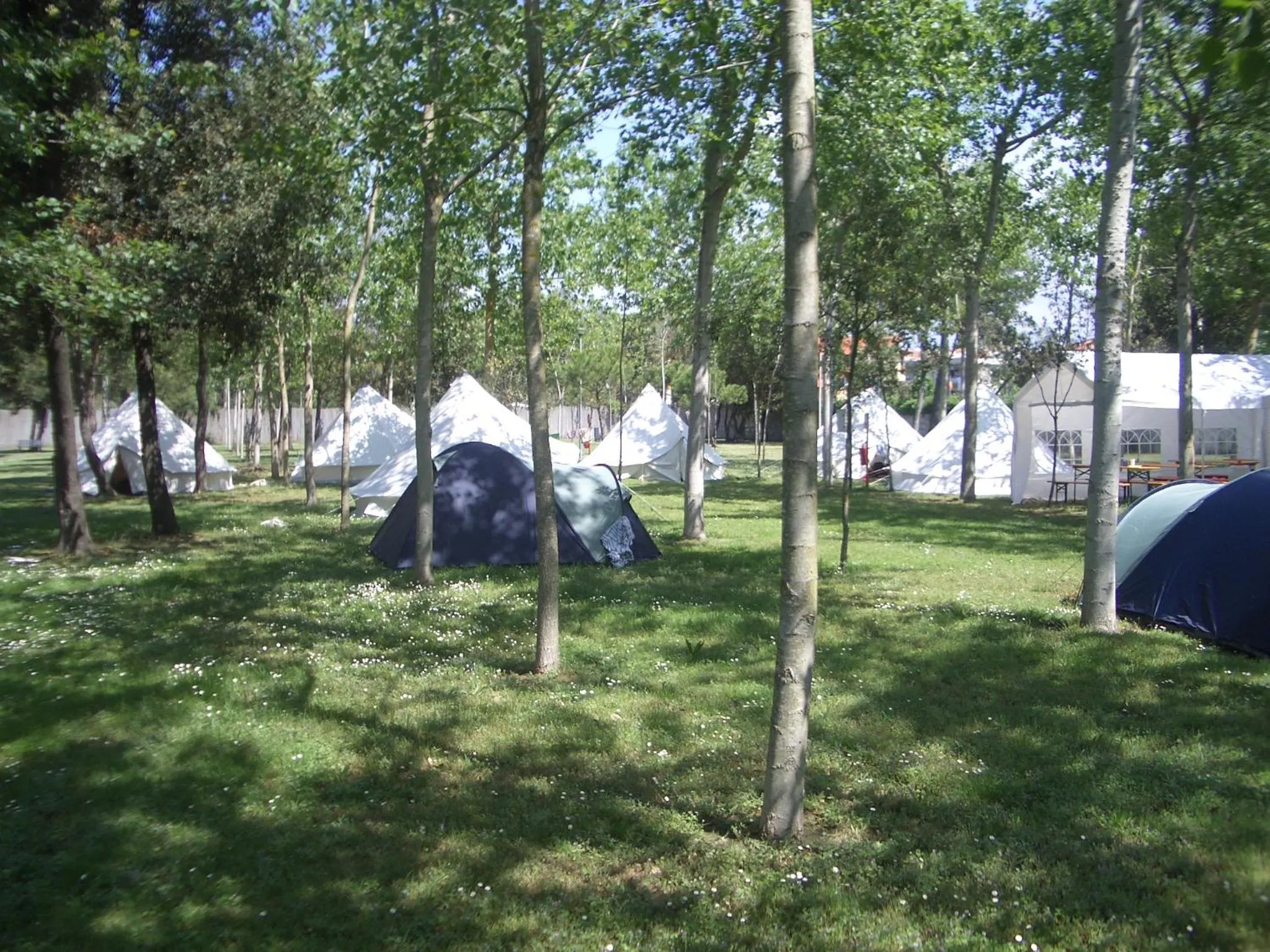 Camping Village Viareggio