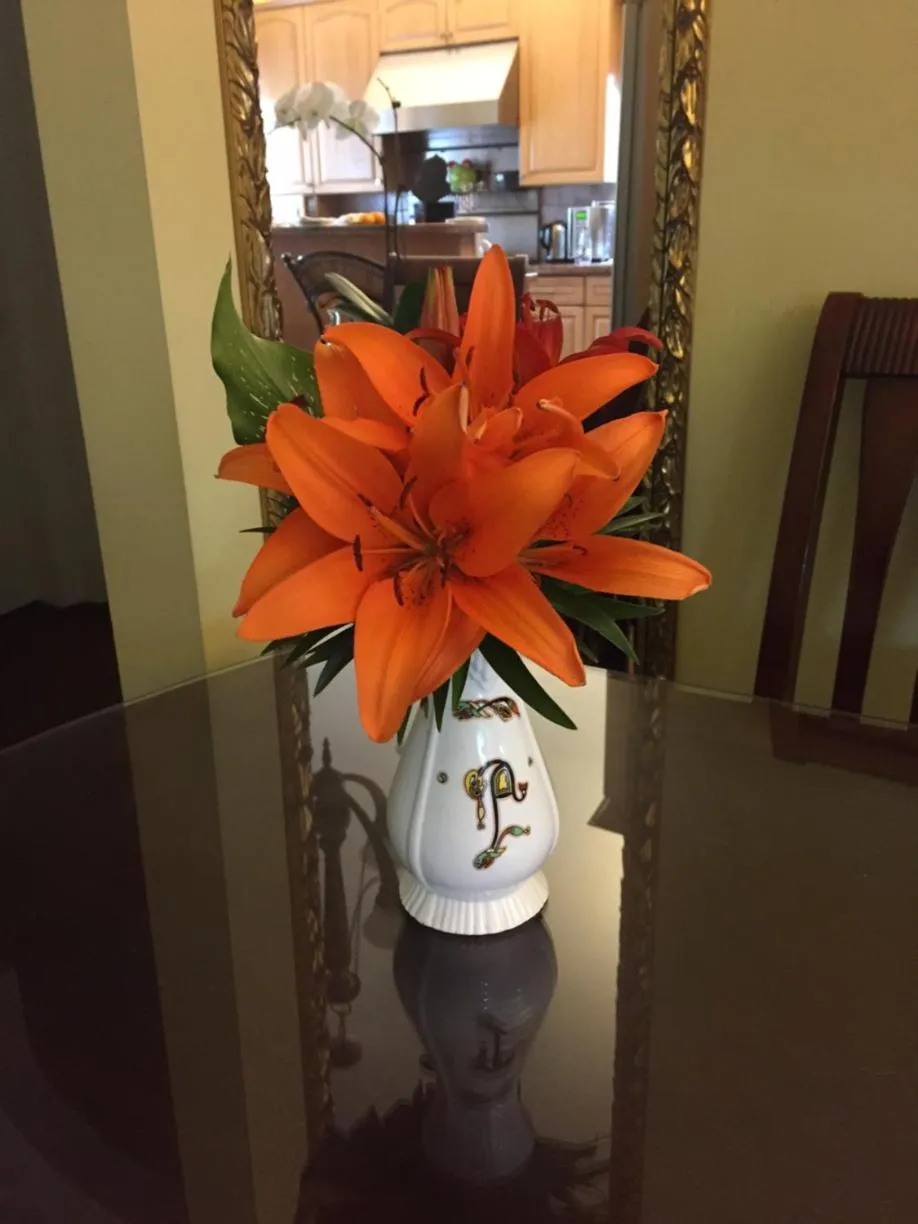 Ocean Breeze Executive Bed and Breakfast