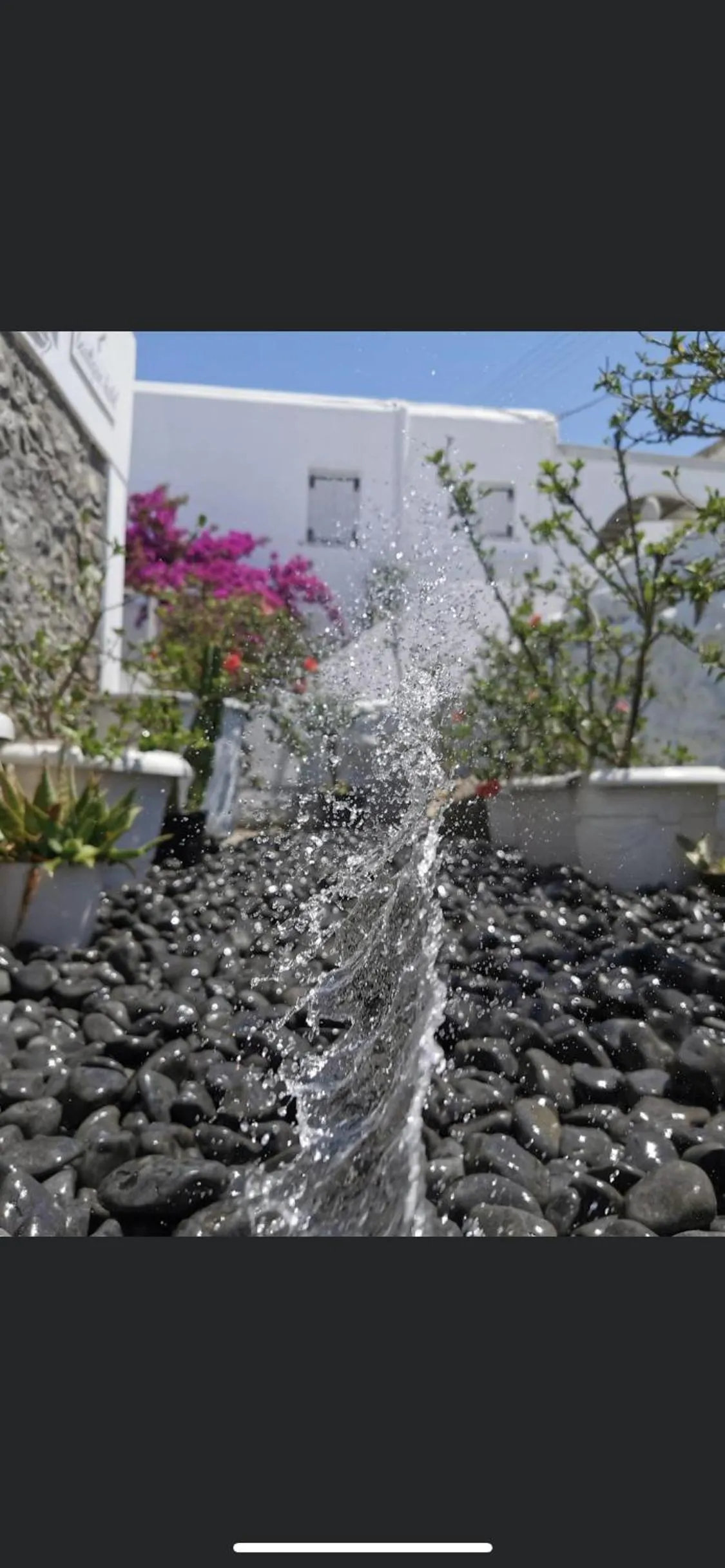 Decorative detail in Ibiscus Boutique