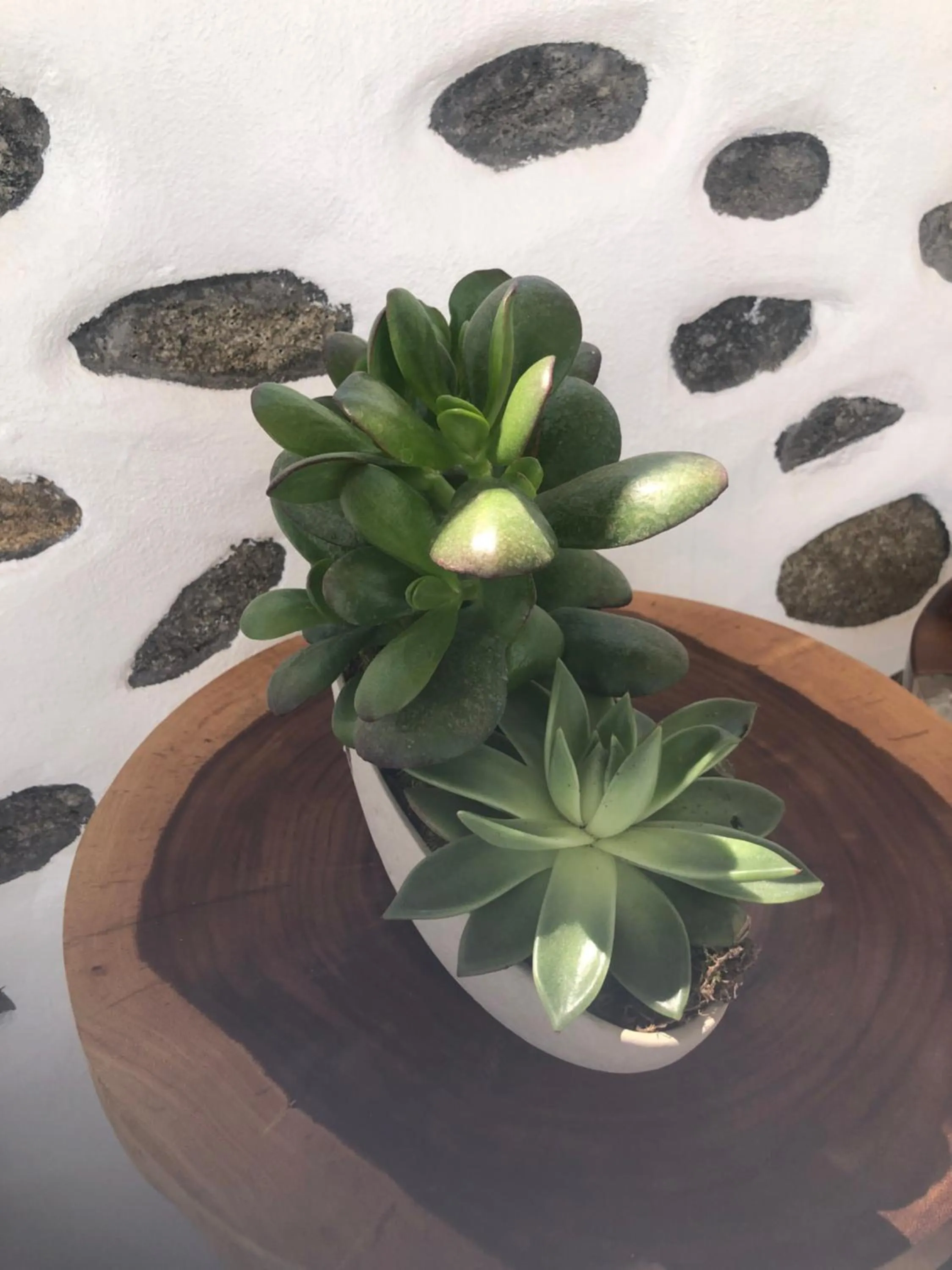 Decorative detail in Ibiscus Boutique