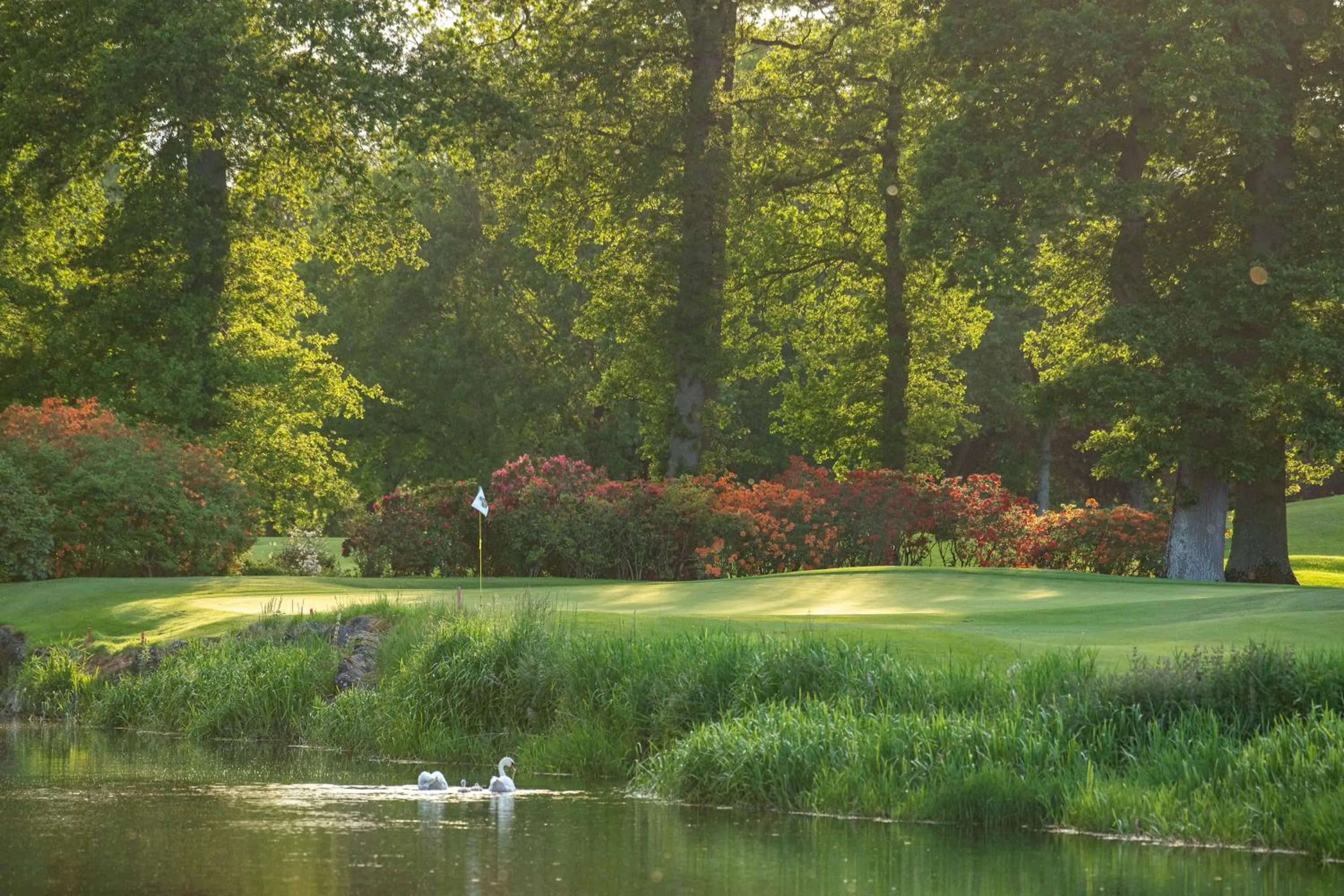 Golfcourse in The K Club