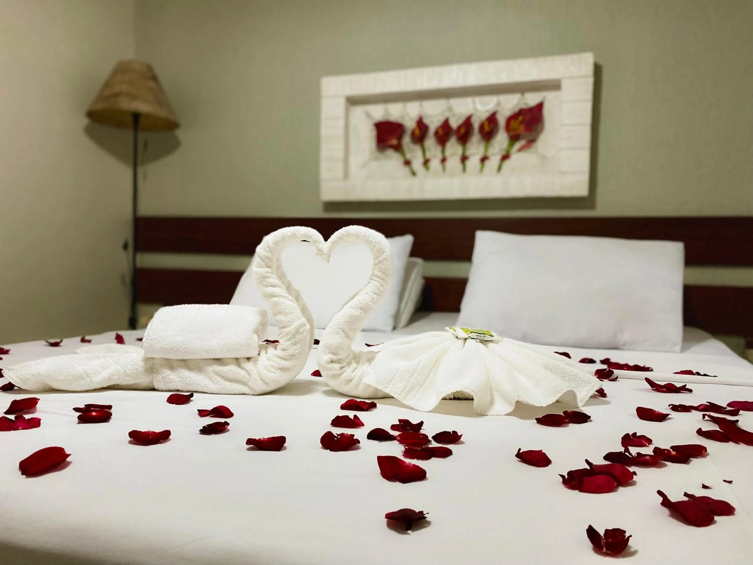 Photo of the whole room, Bed in Porto Forte Pousada