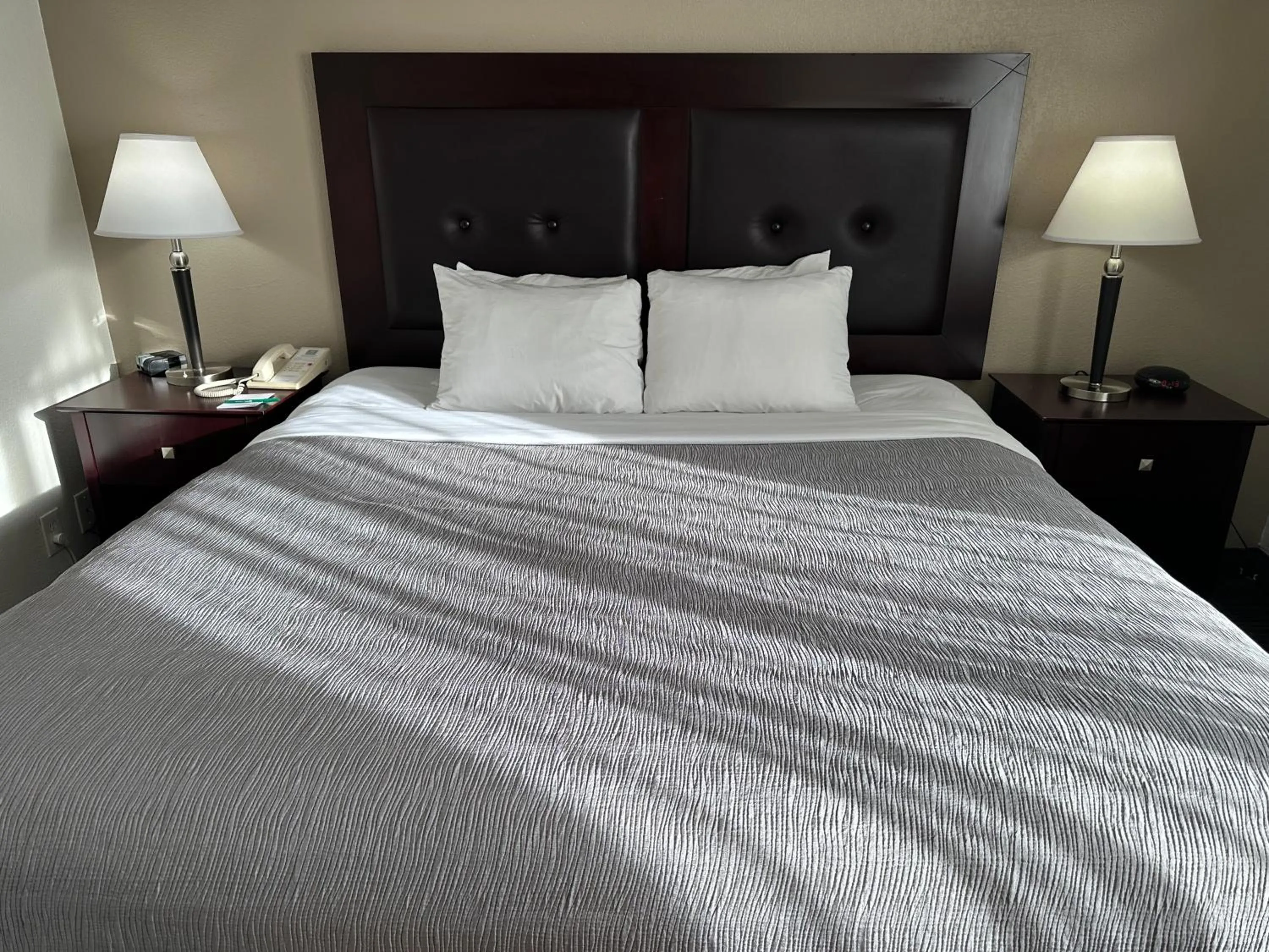 Bed in Quality Inn & Suites Everett