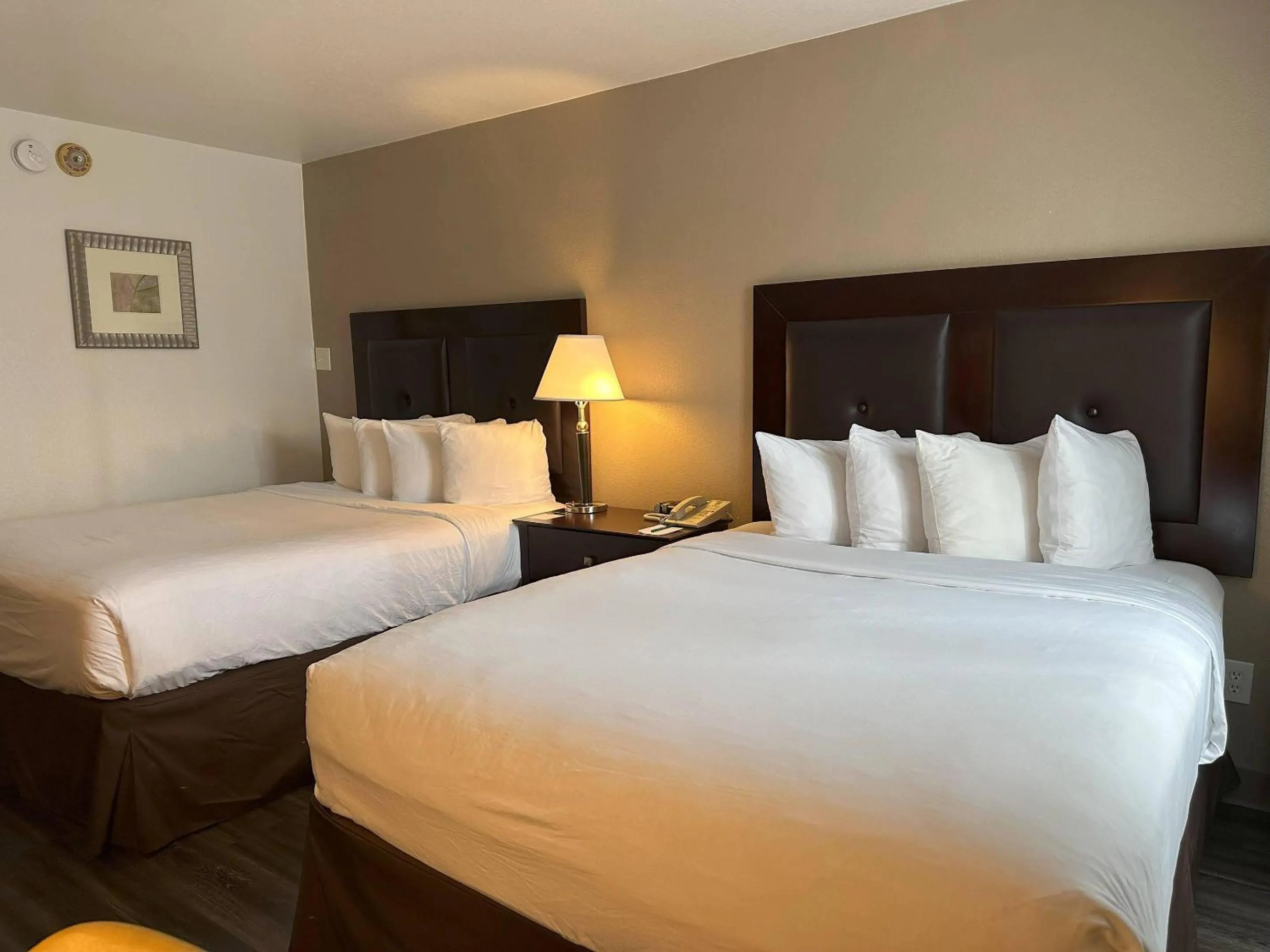 Bedroom, Bed in Quality Inn & Suites Everett