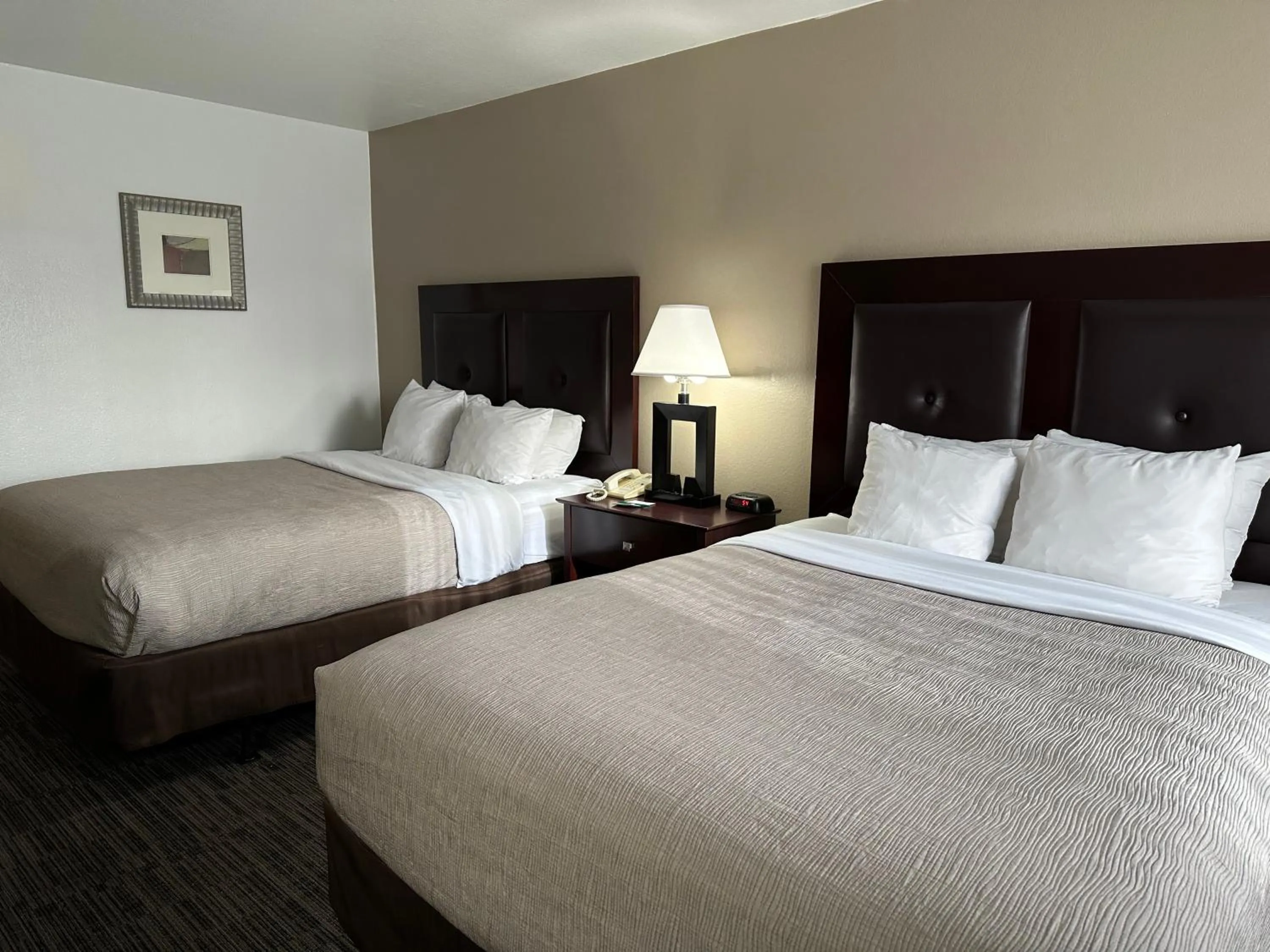 Bed in Quality Inn & Suites Everett