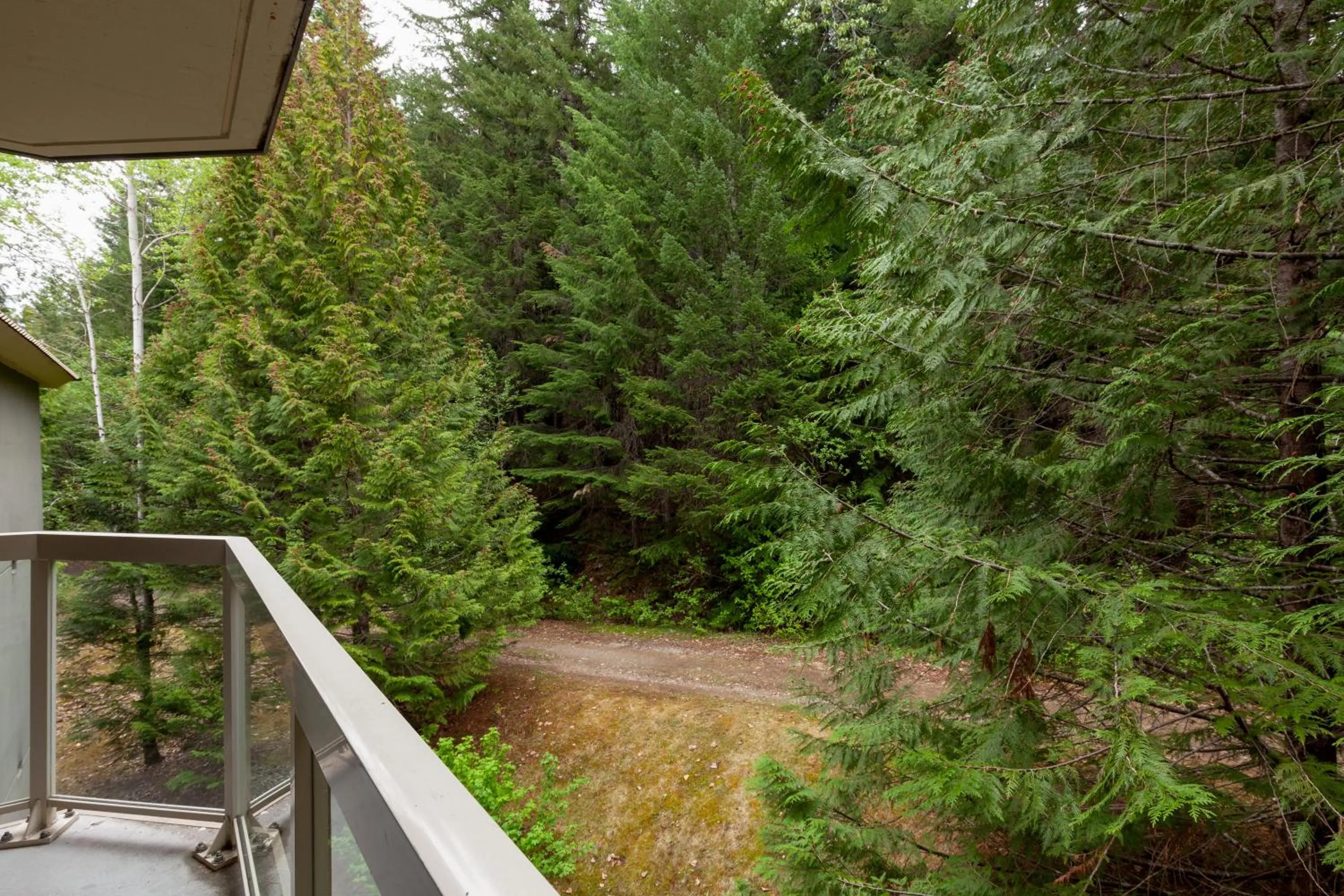 Natural landscape in The Woodrun Lodge by Whiski Jack