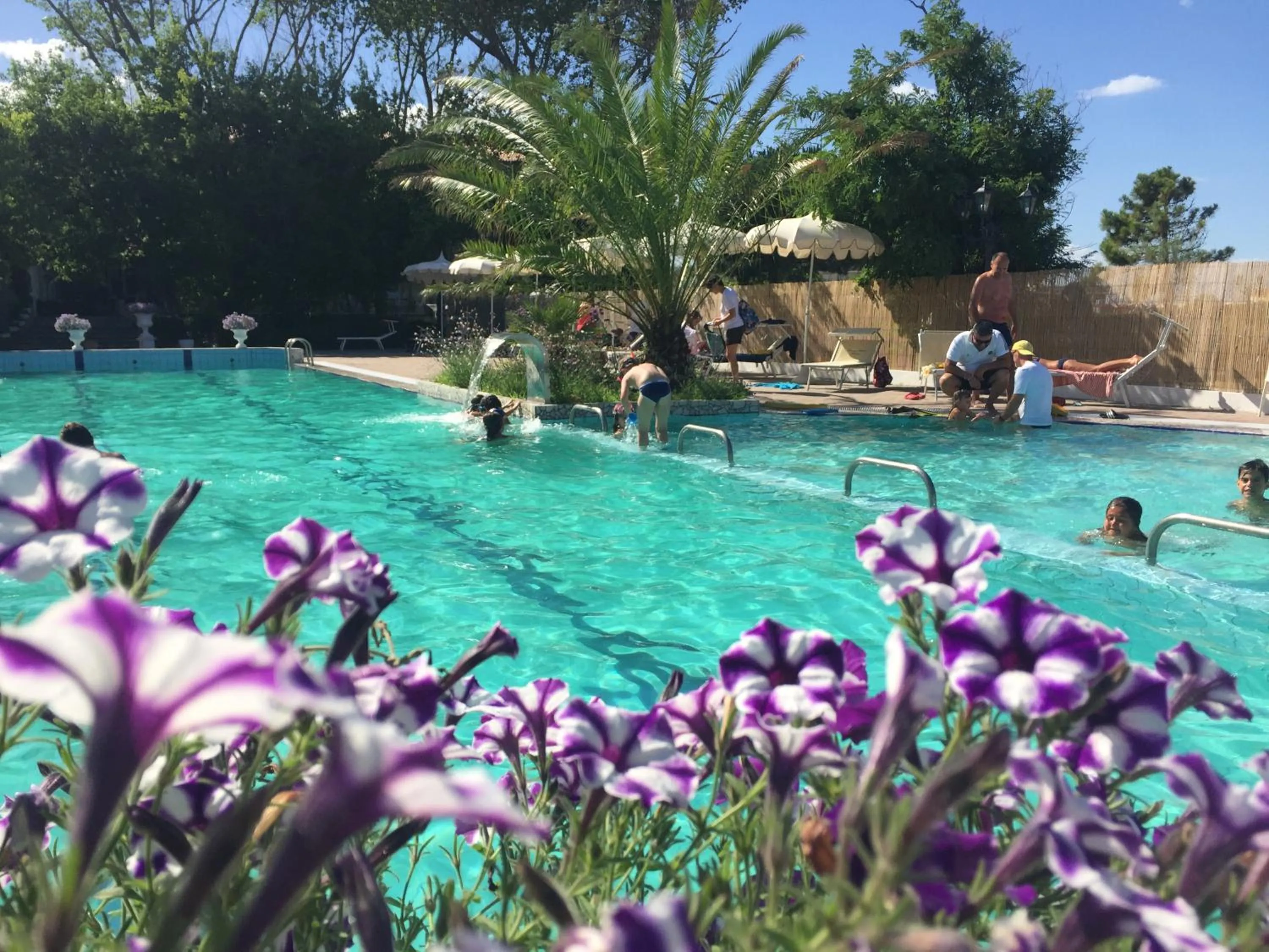 Pool view in hotel Locanda delle Dune