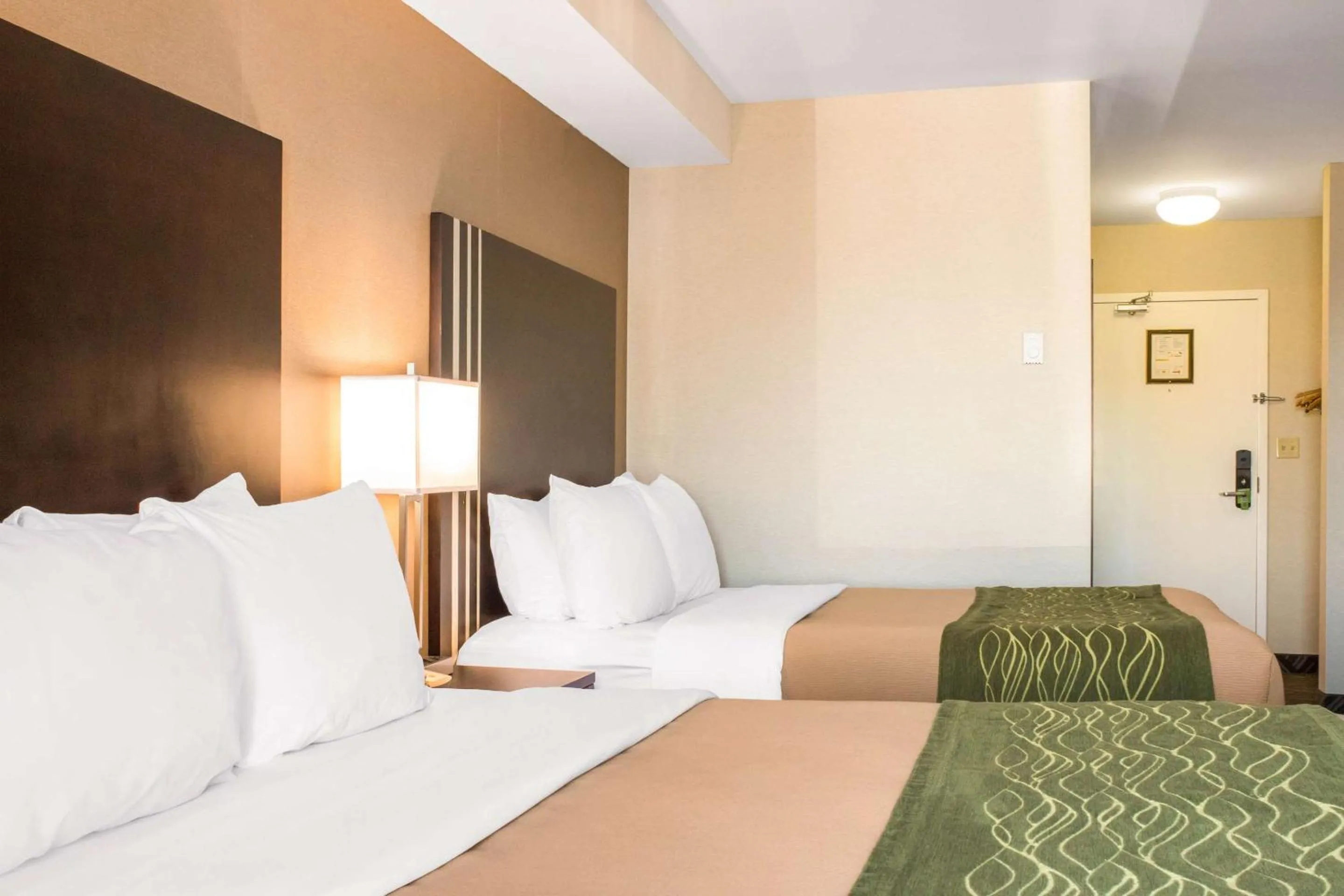 Bedroom, Bed in Comfort Inn