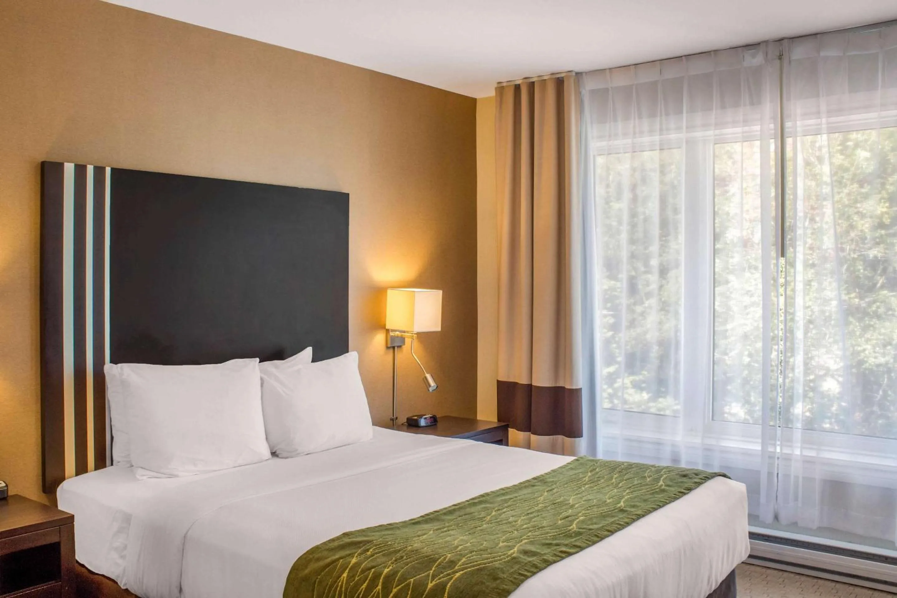 Bedroom, Bed in Comfort Inn