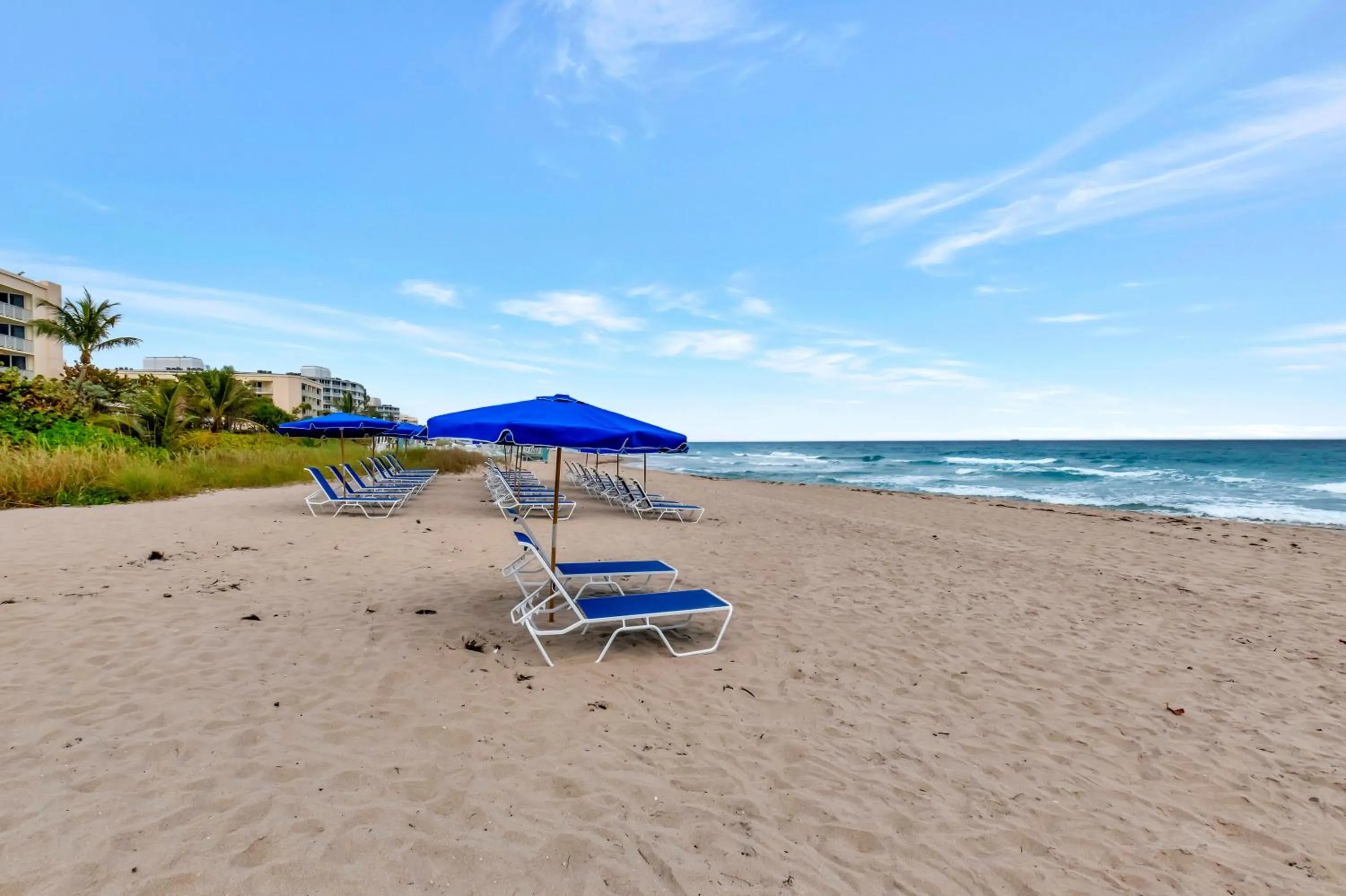 Natural landscape in Tideline Palm Beach Ocean Resort and Spa