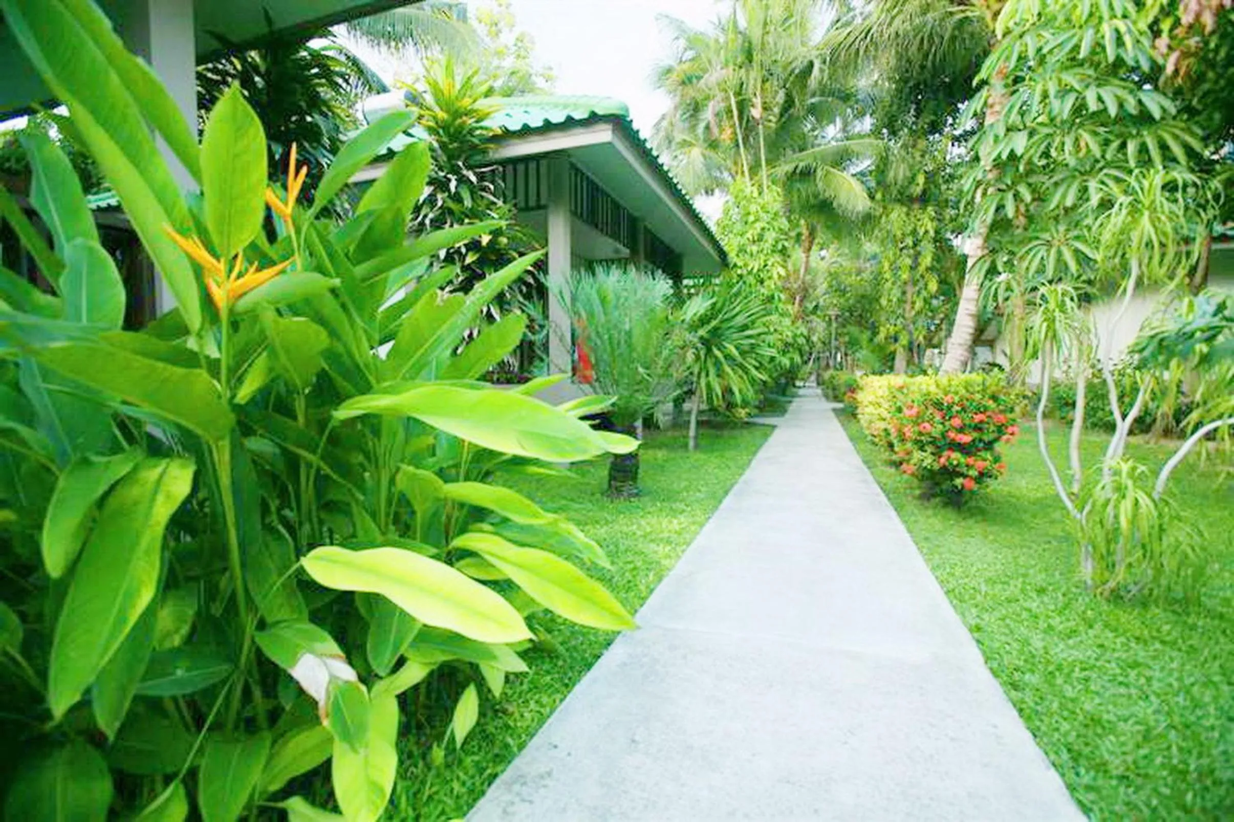 Garden in Lamai Inn 99 Bungalows