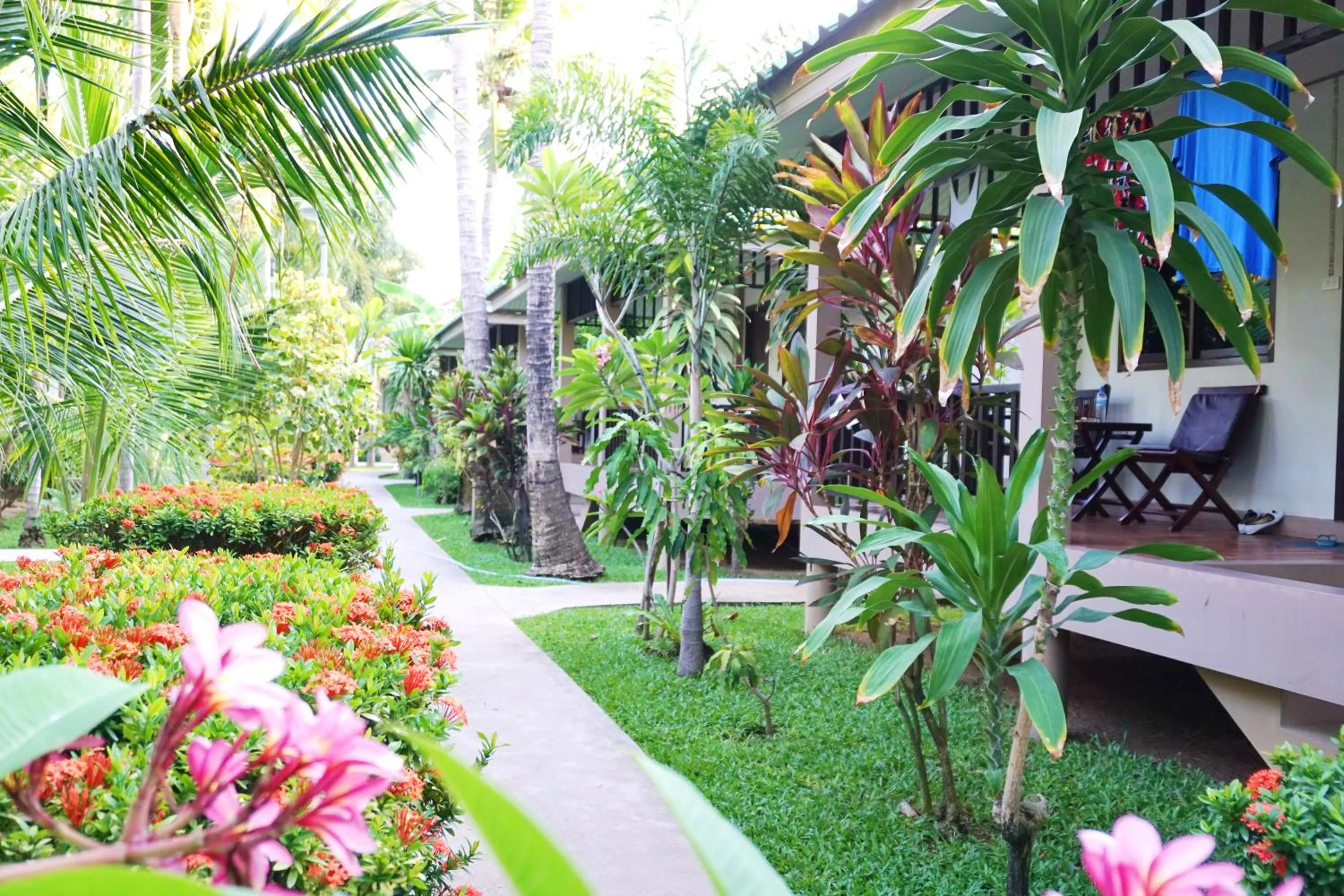 Garden in Lamai Inn 99 Bungalows
