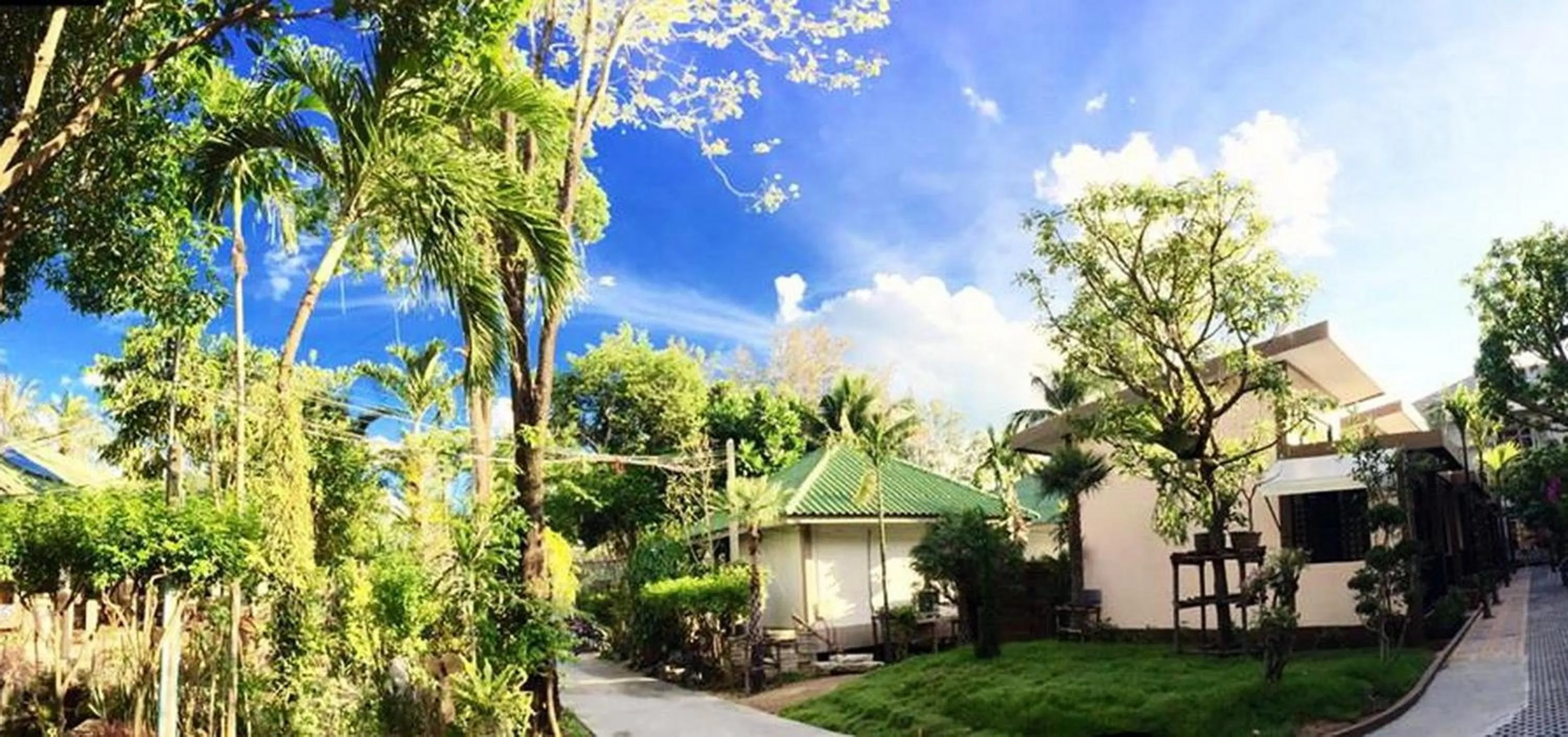 Natural landscape in Lamai Inn 99 Bungalows