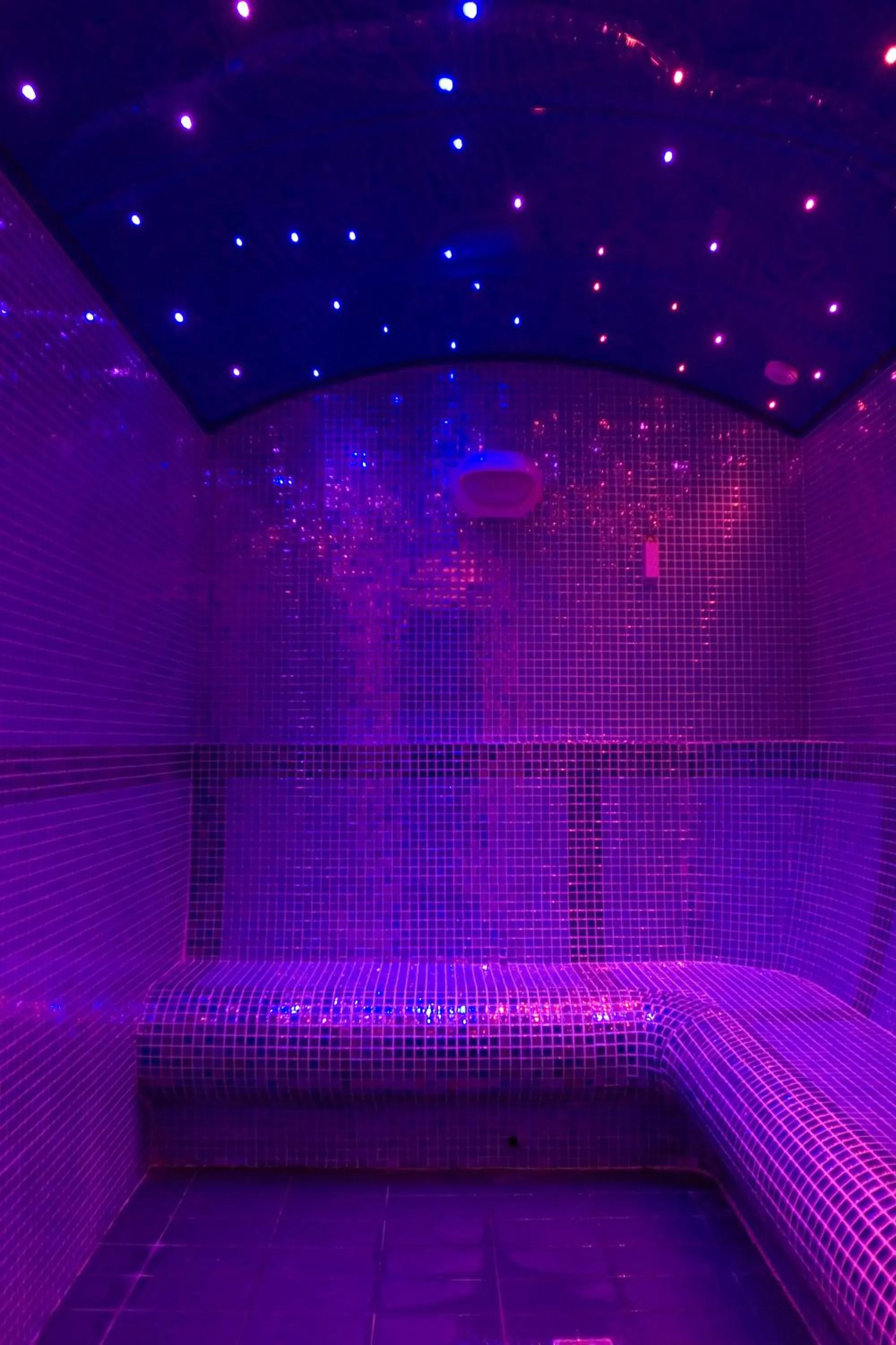 Sauna in Masd Mediterraneo Hotel Apartamentos Spa