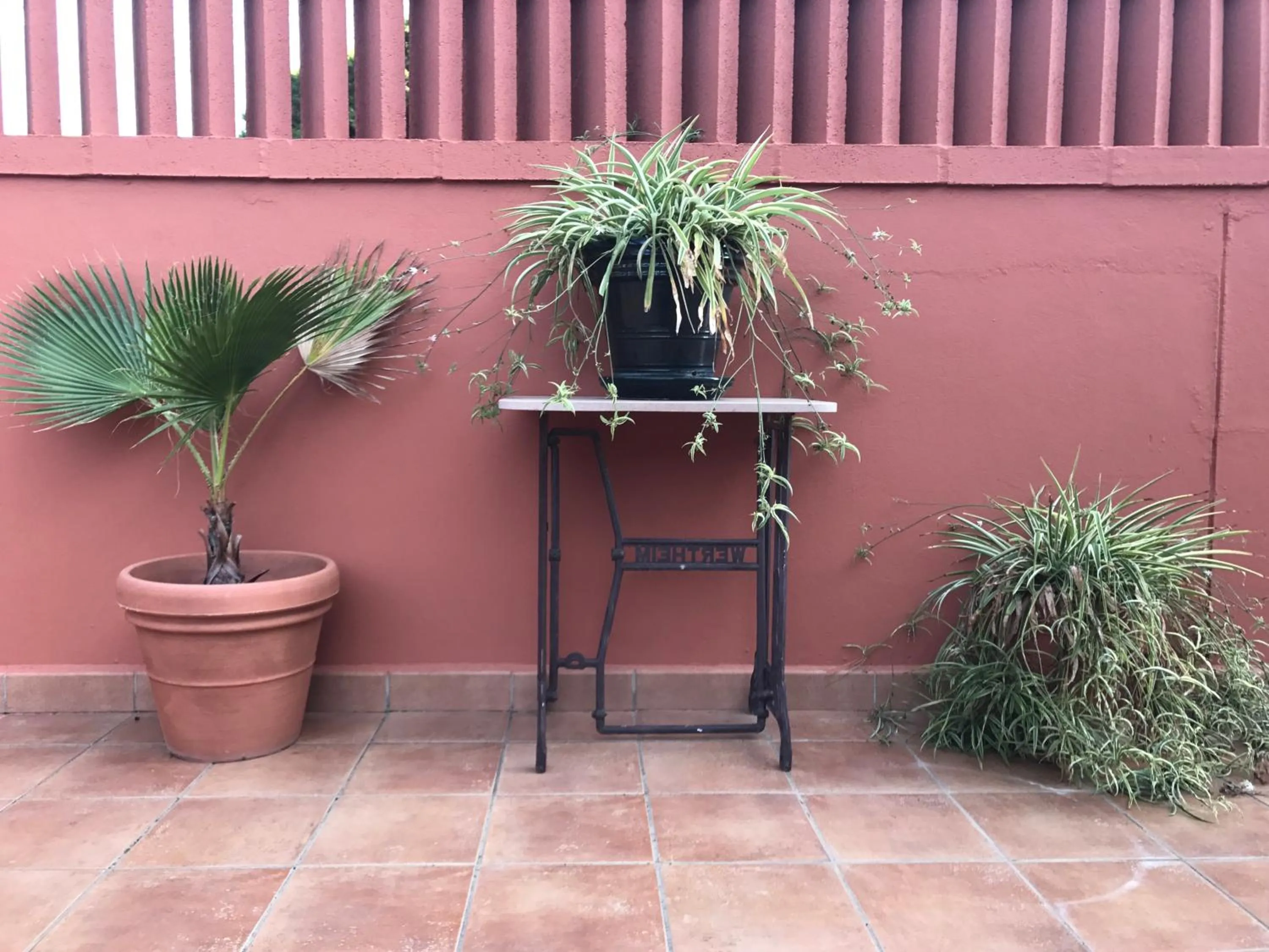 Area and facilities in Hotel Coral Playa