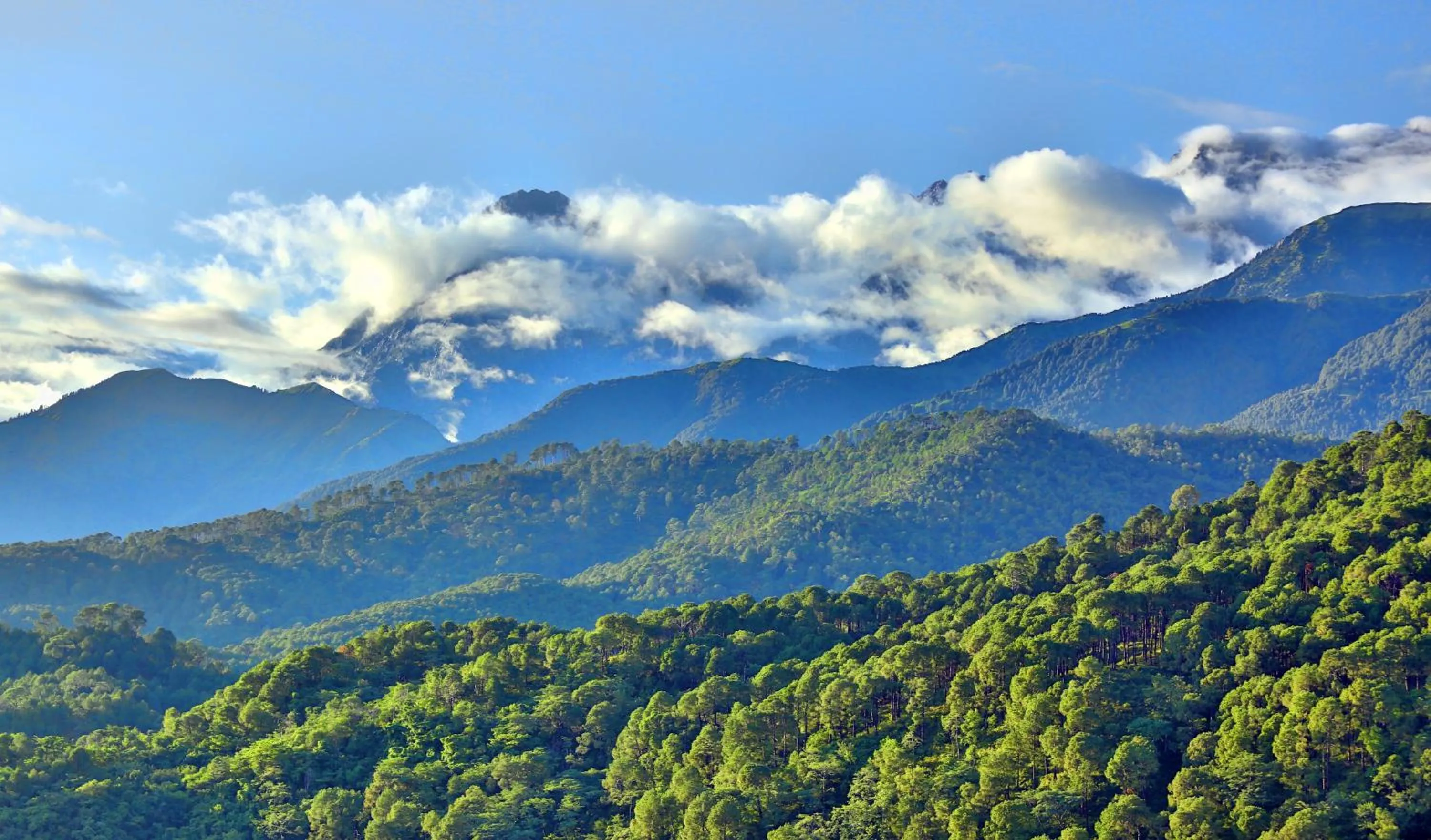 Chimbalhar Heights