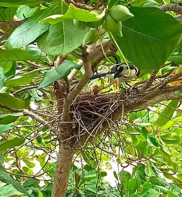 Animals in Yuu-Lee Casa Bendita Huatulco