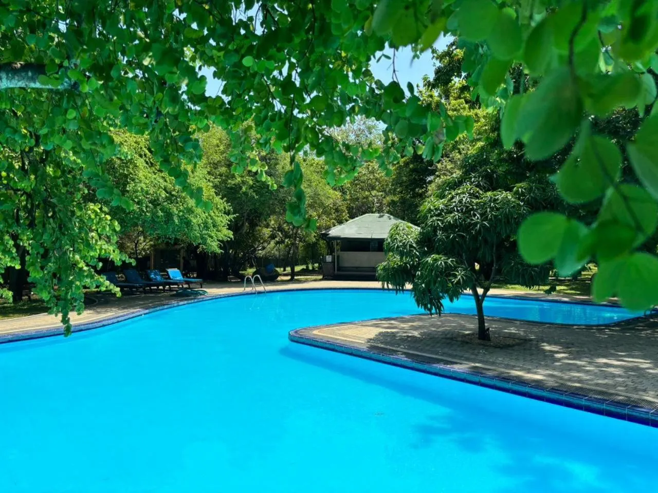 Pool view in Hotel Elephant Reach