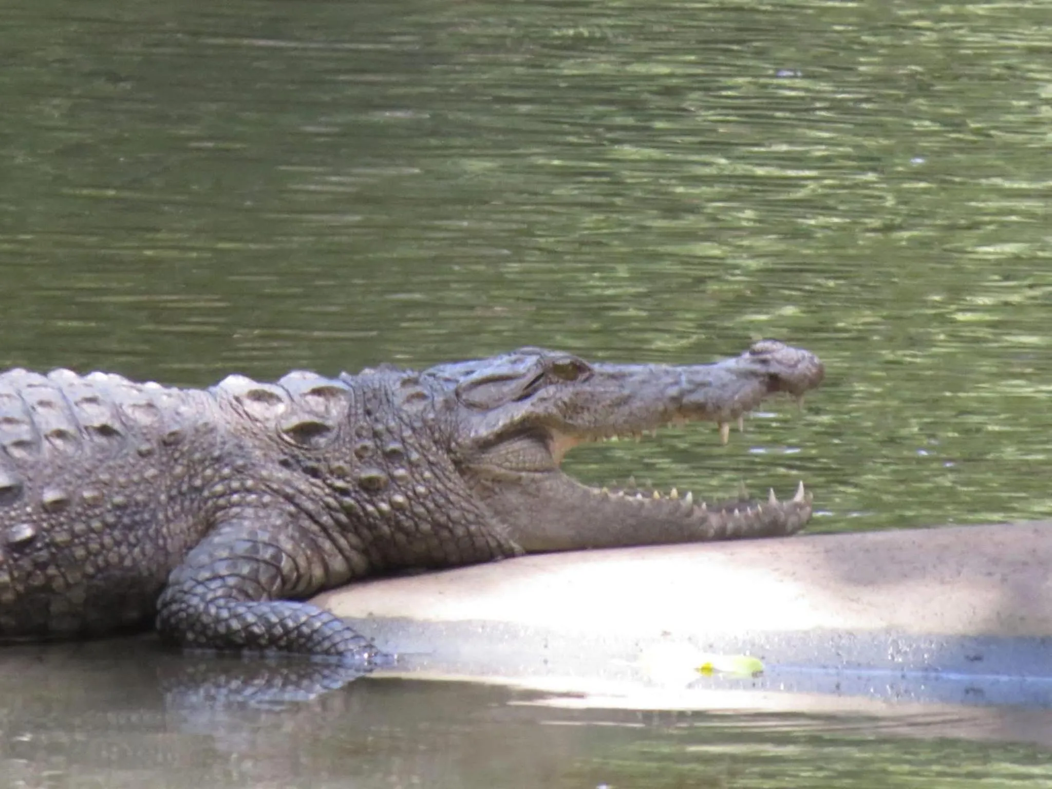 Nearby landmark in Hotel Elephant Reach
