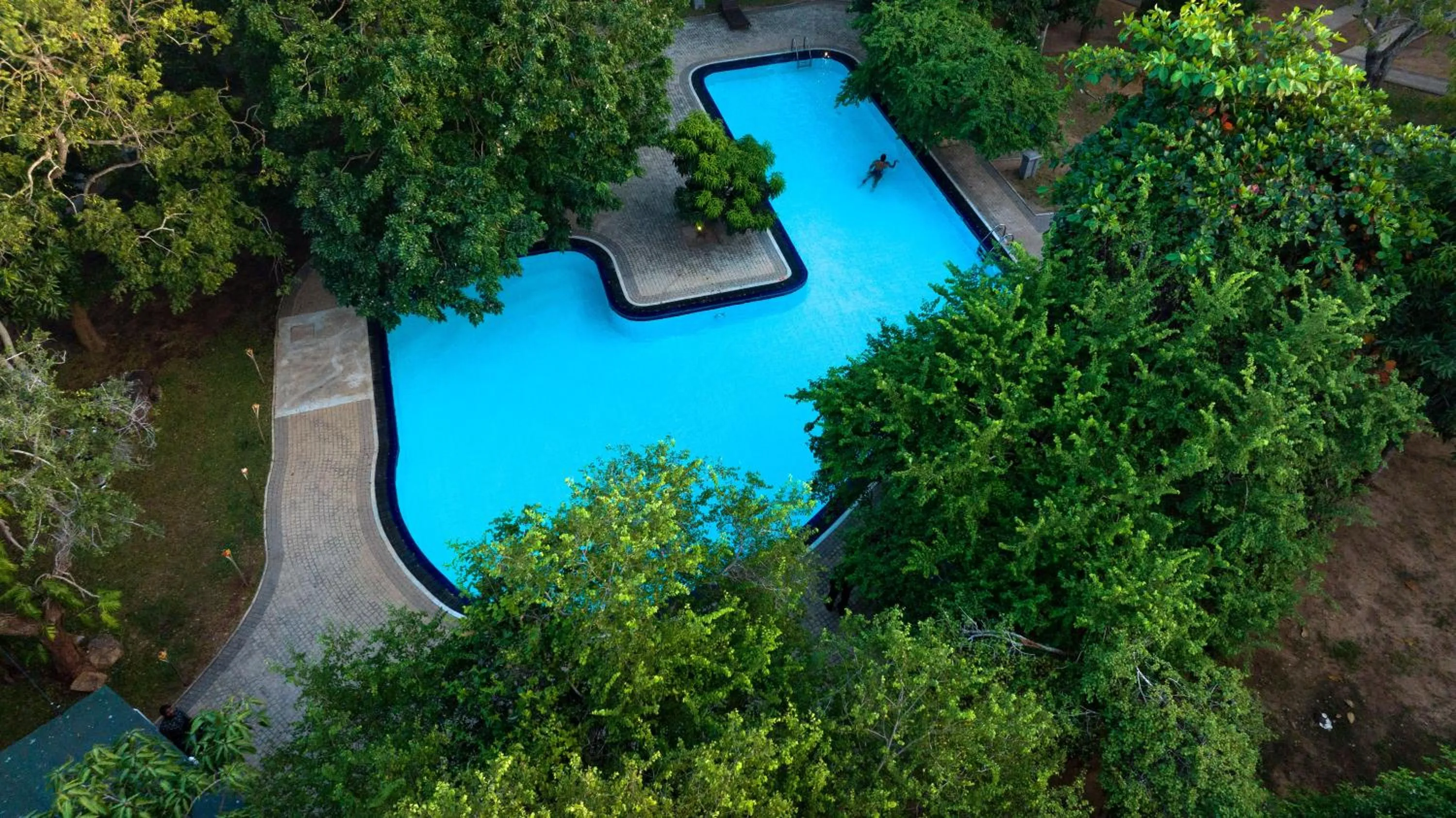 Pool view in Hotel Elephant Reach
