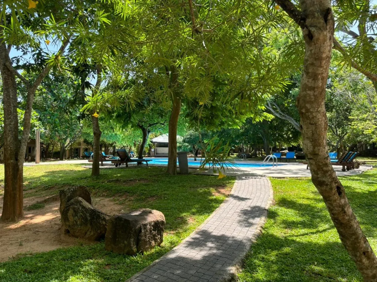 Swimming pool in Hotel Elephant Reach