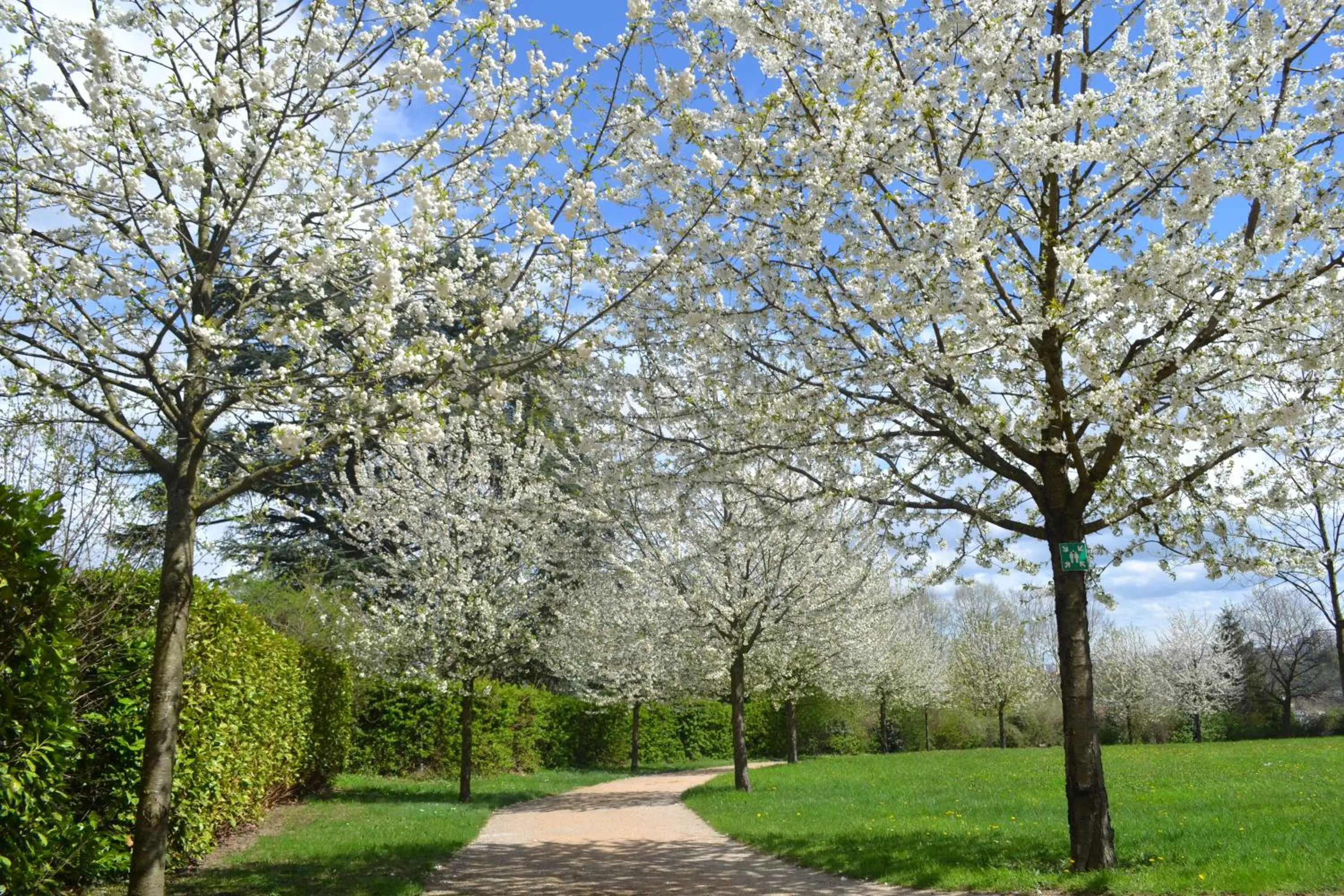 Garden in Hôtel Valpré