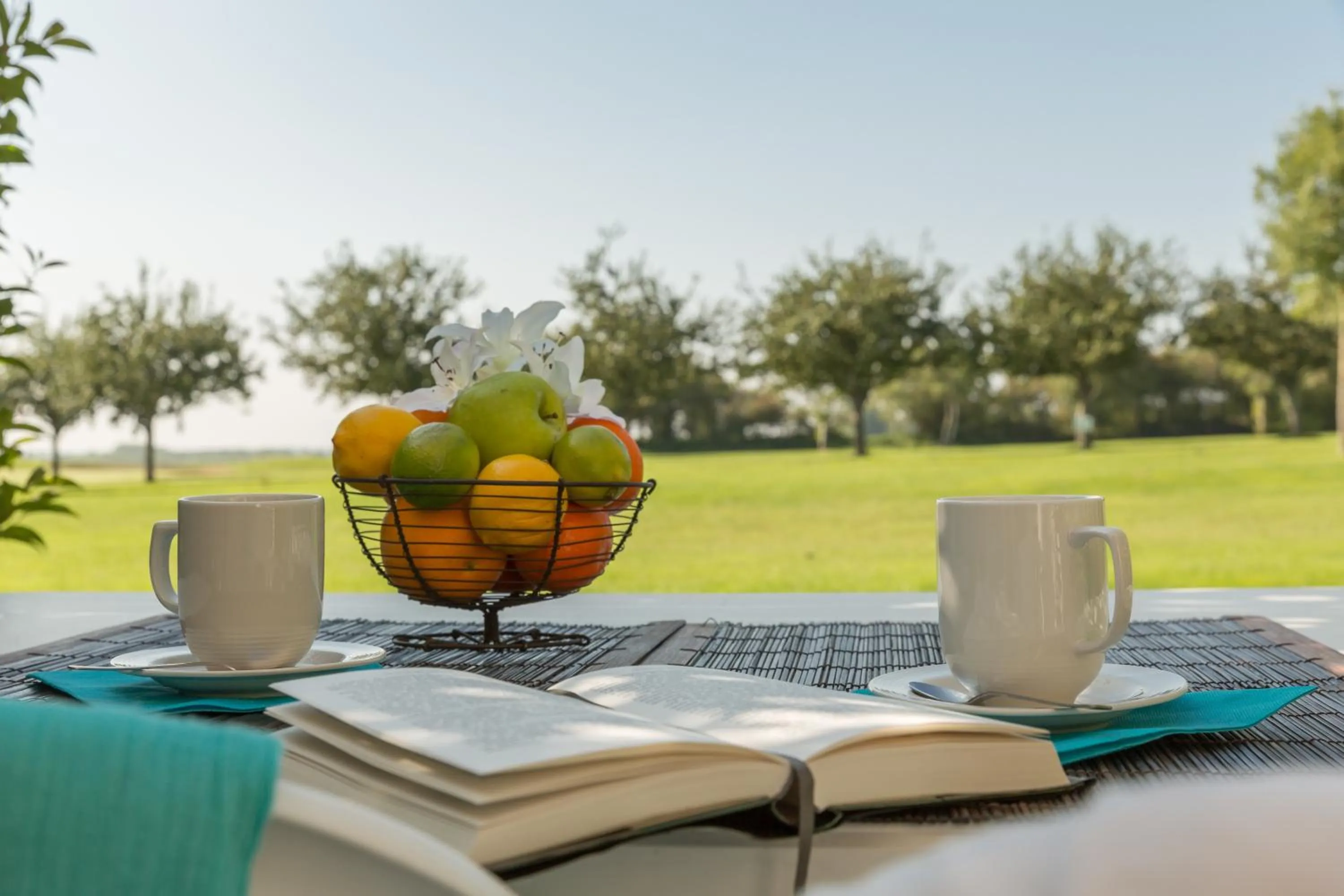 Day in Résidence Pierre & Vacances le Green Beach