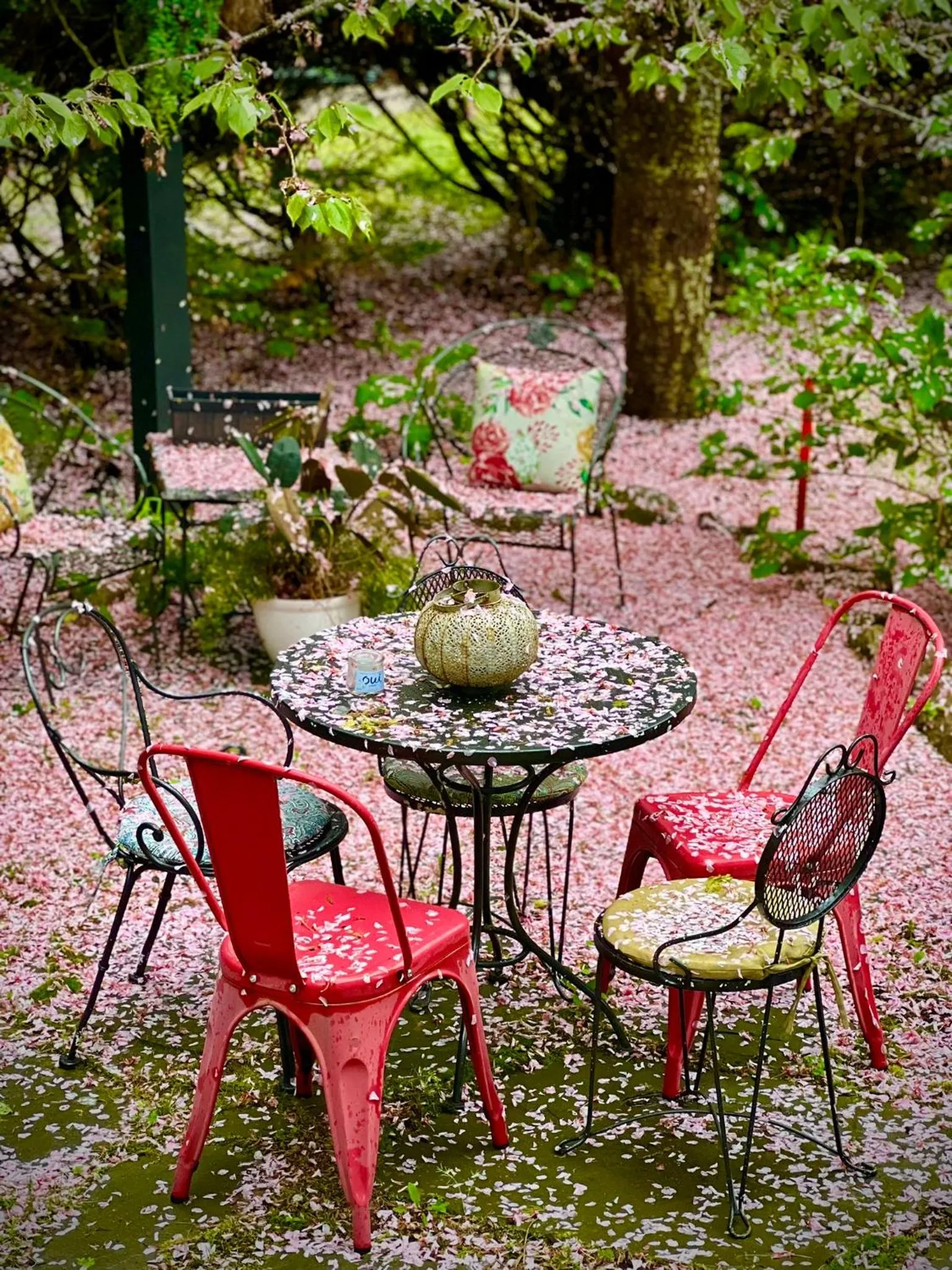 Patio in Frederick William House