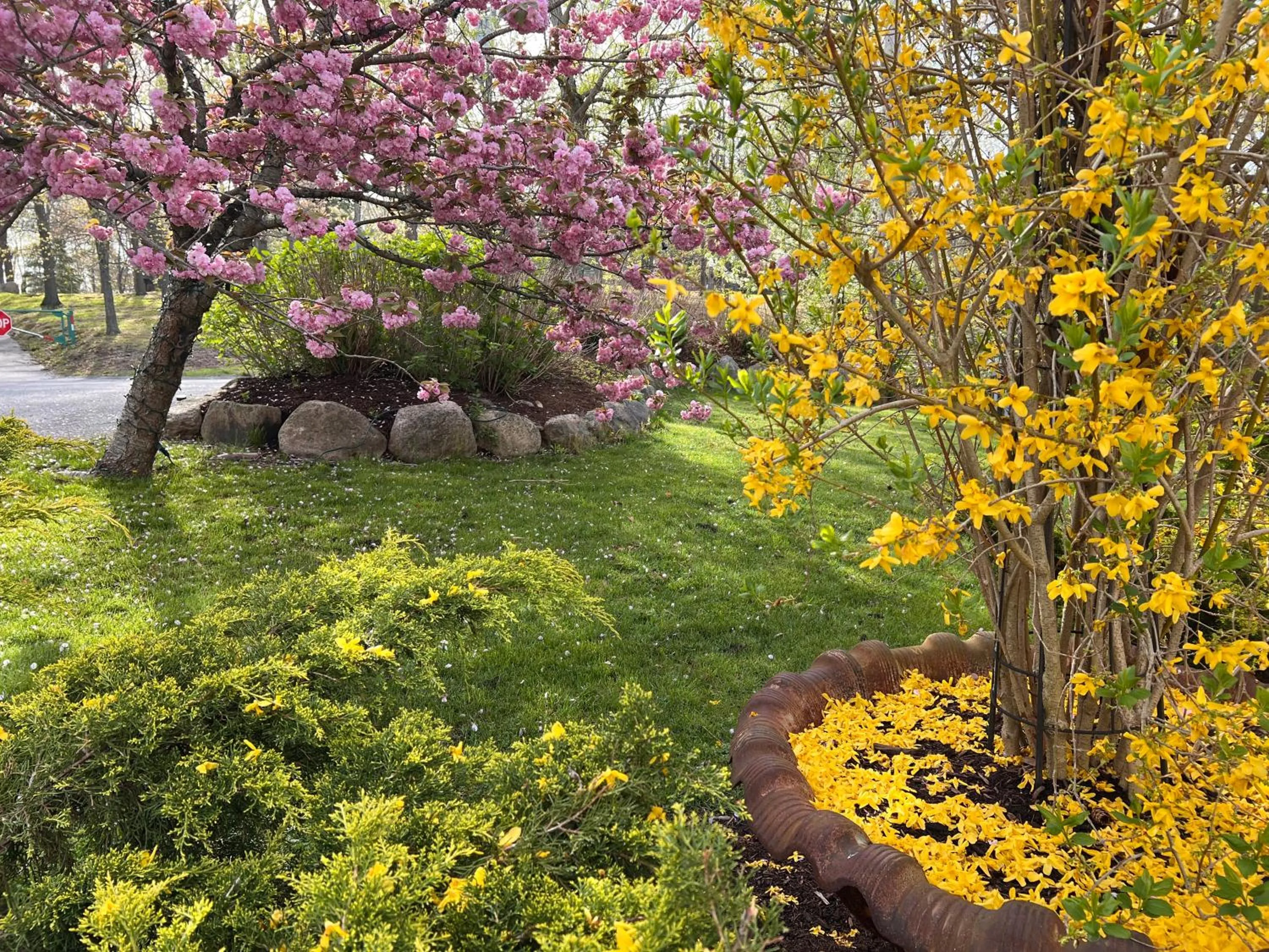 Spring in Frederick William House