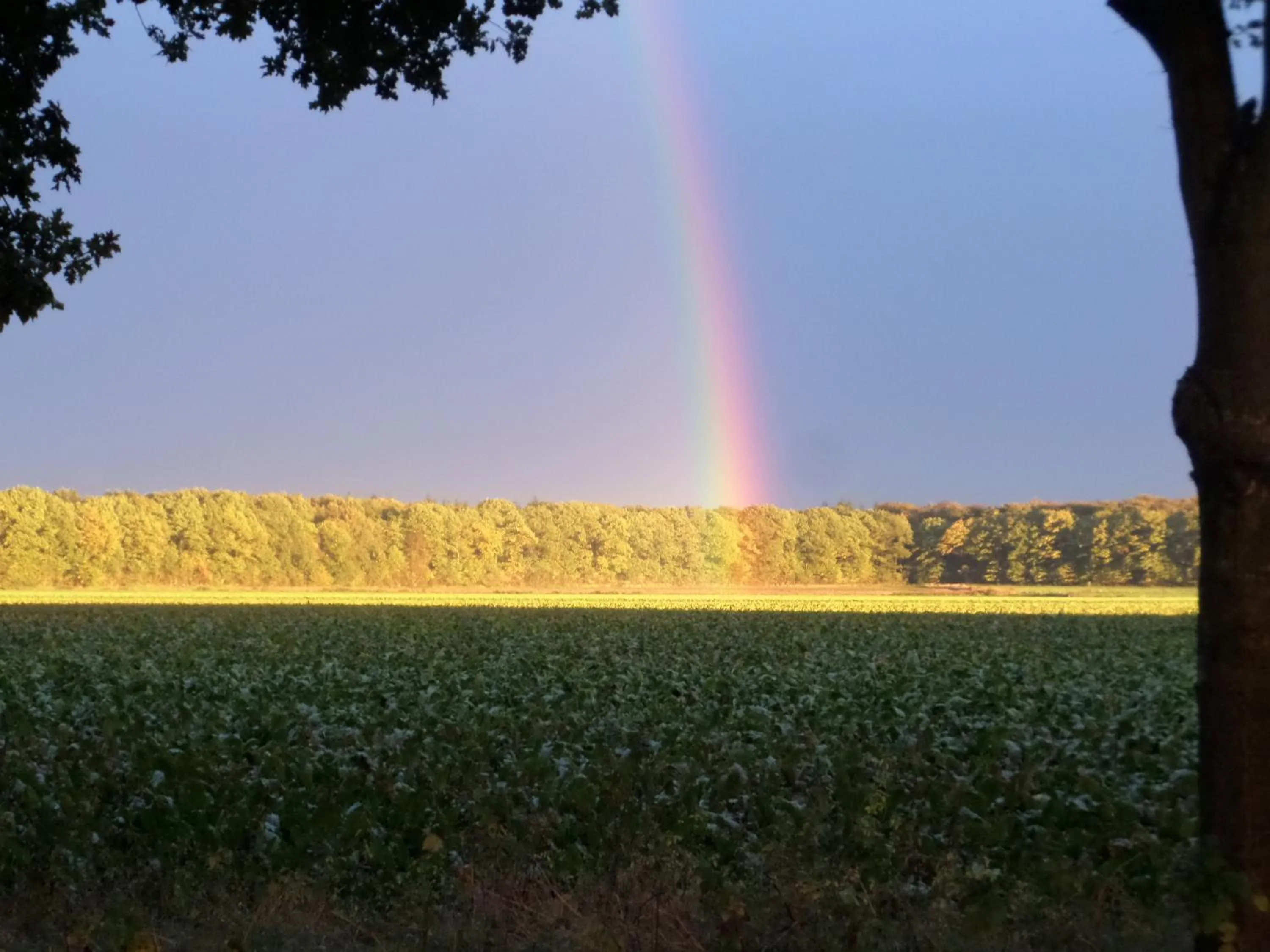 Summer in mekelermeer