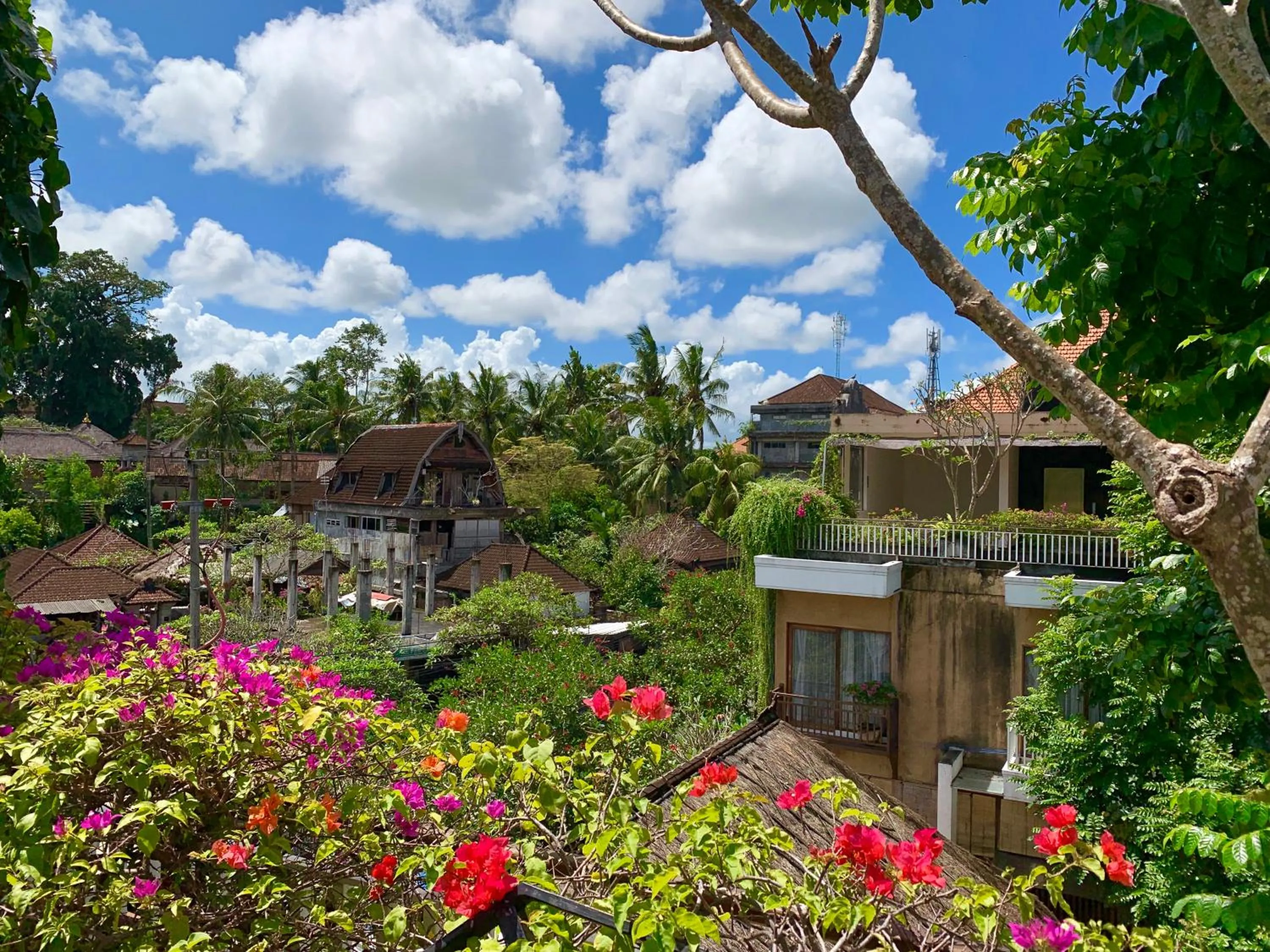 Garden in Hotel Puriartha Ubud