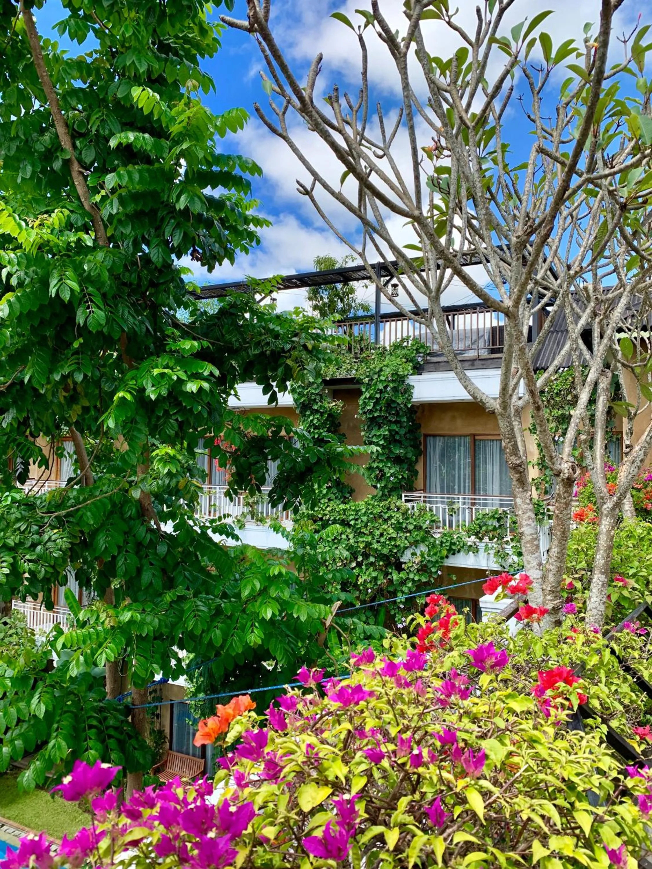 Garden in Hotel Puriartha Ubud