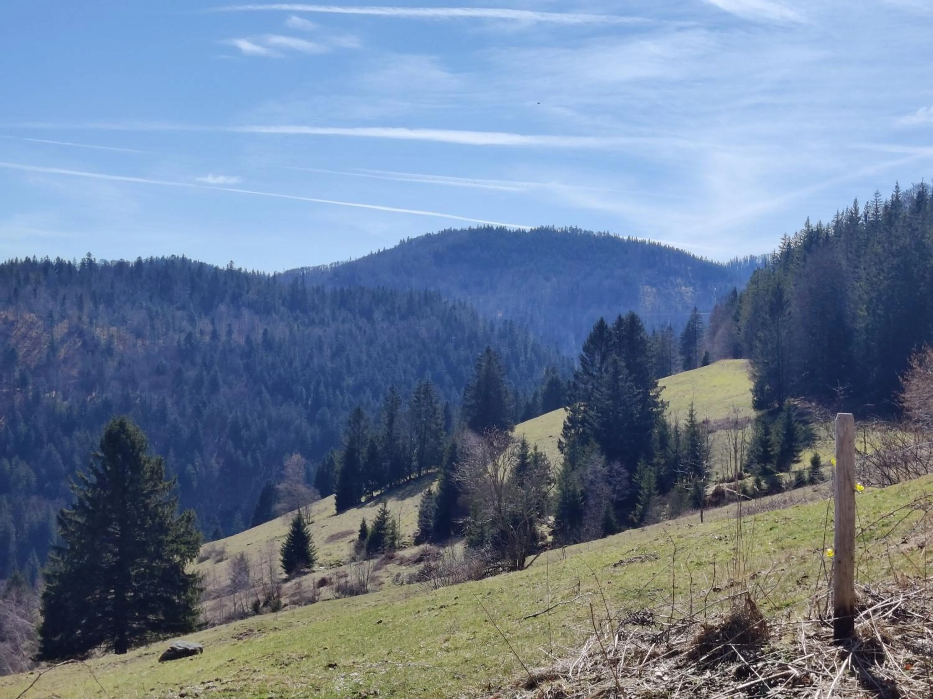 Mountain view in Berggasthaus Präger Böden