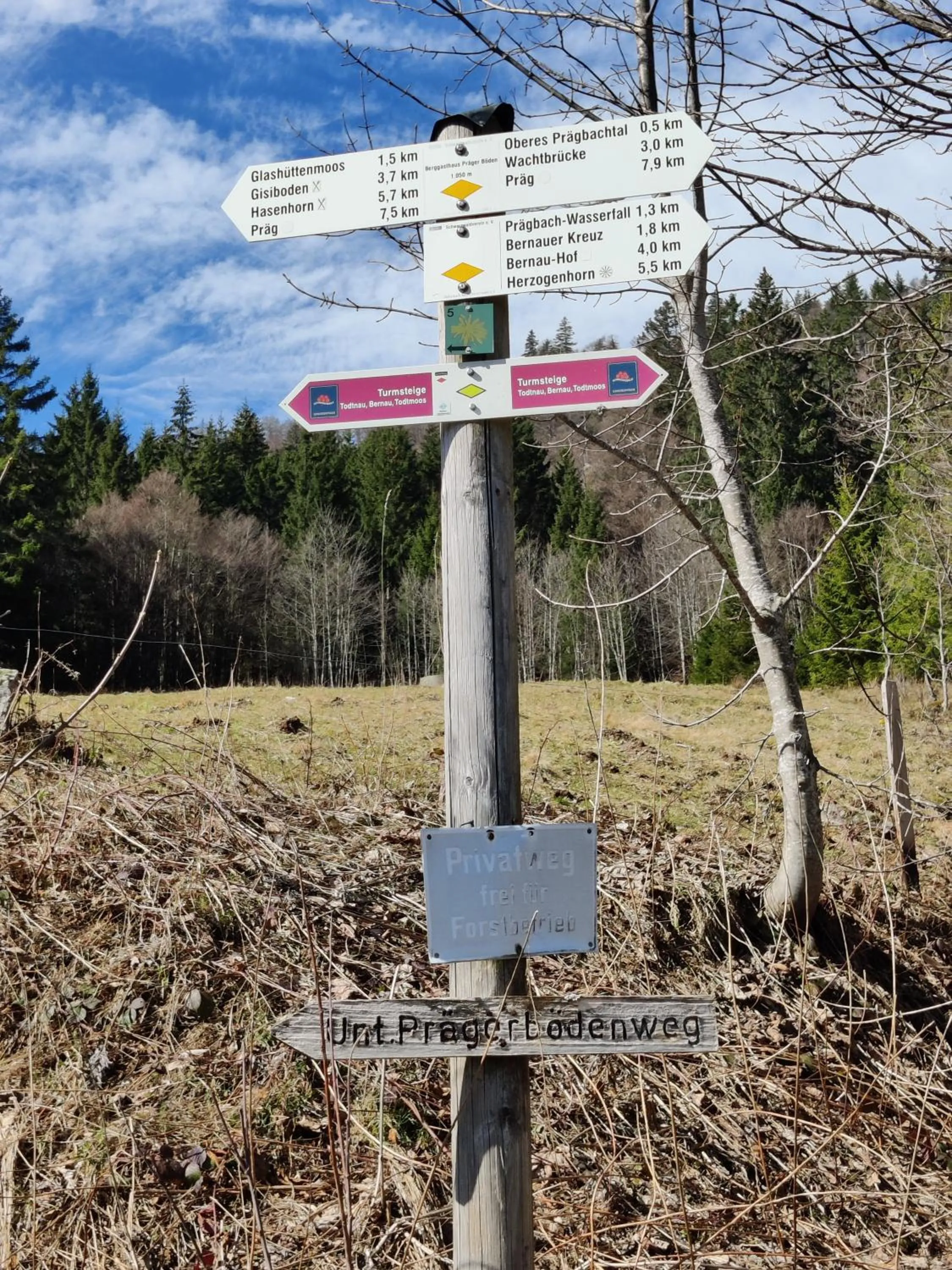 Hiking in Berggasthaus Präger Böden