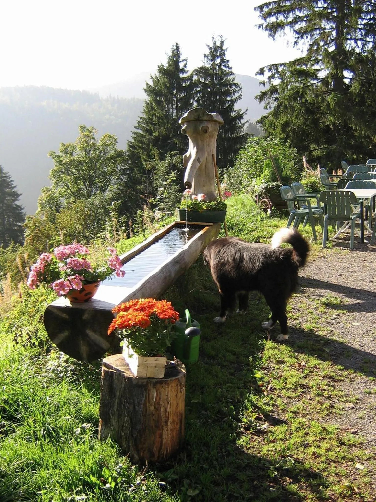 Garden in Berggasthaus Präger Böden