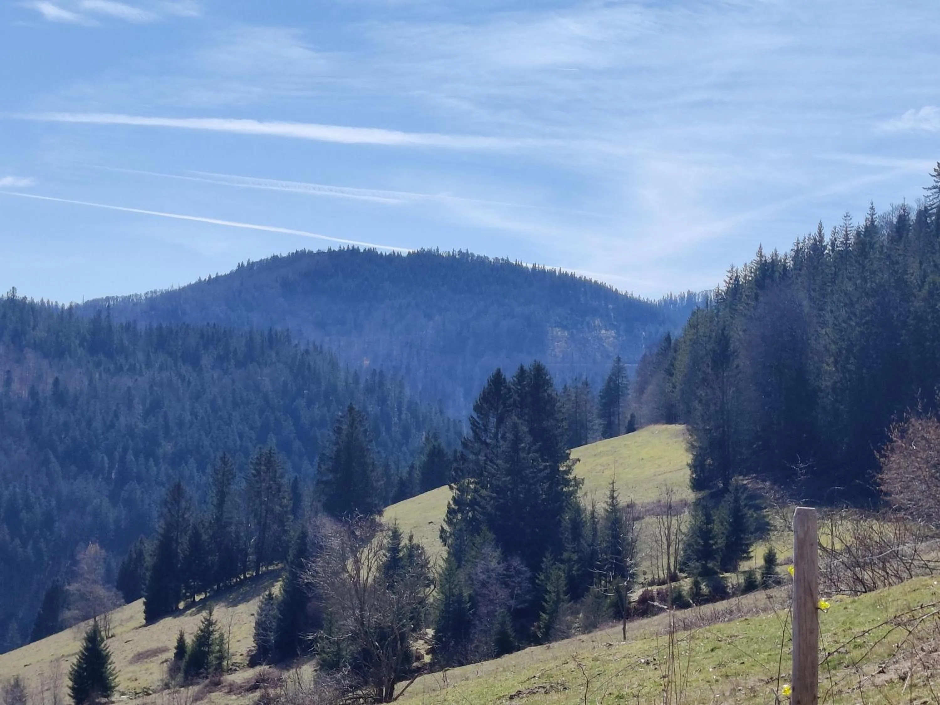 View (from property/room) in Berggasthaus Präger Böden