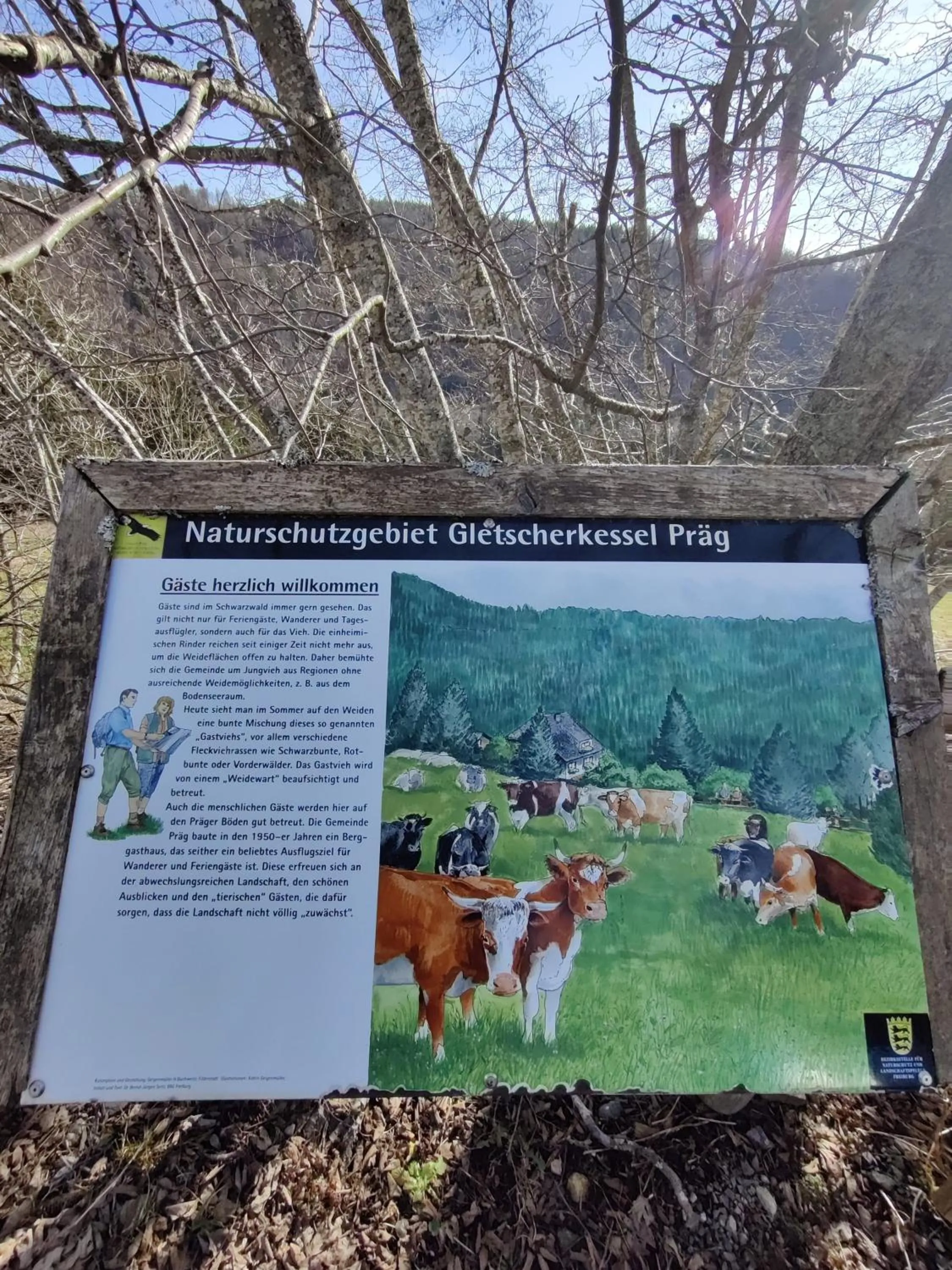 Hiking in Berggasthaus Präger Böden