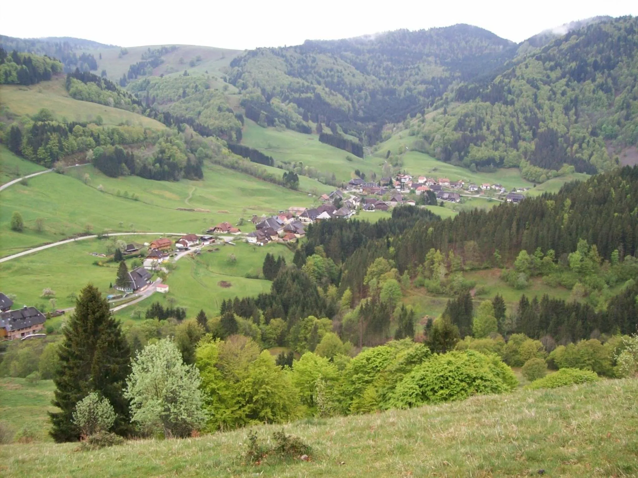 Natural landscape in Berggasthaus Präger Böden