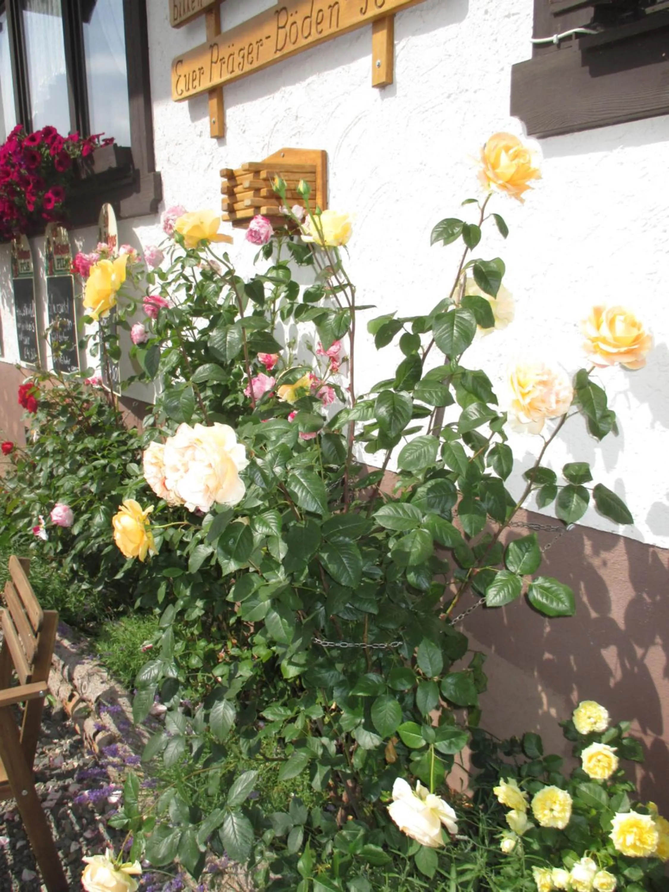 Garden in Berggasthaus Präger Böden