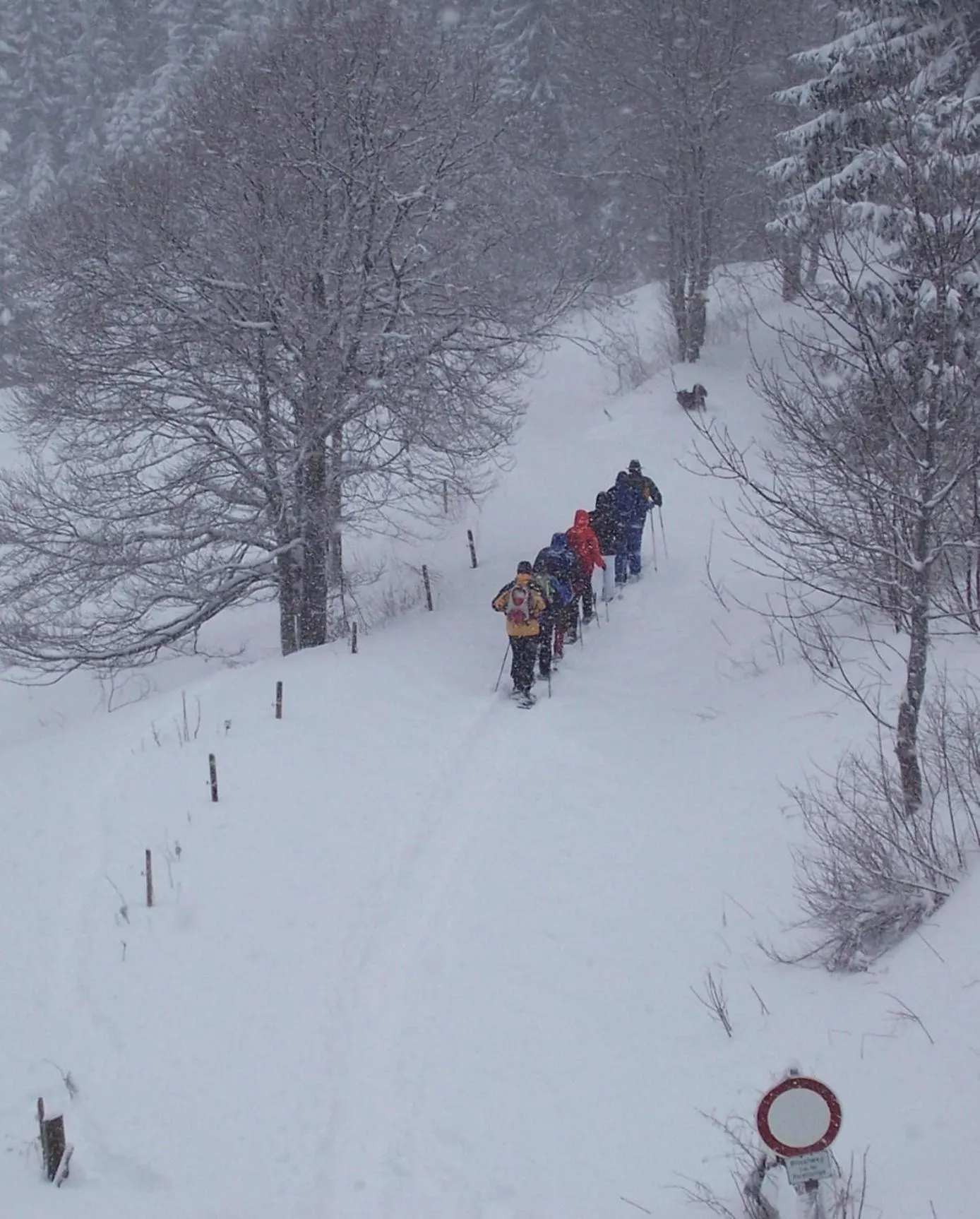 Winter in Berggasthaus Präger Böden